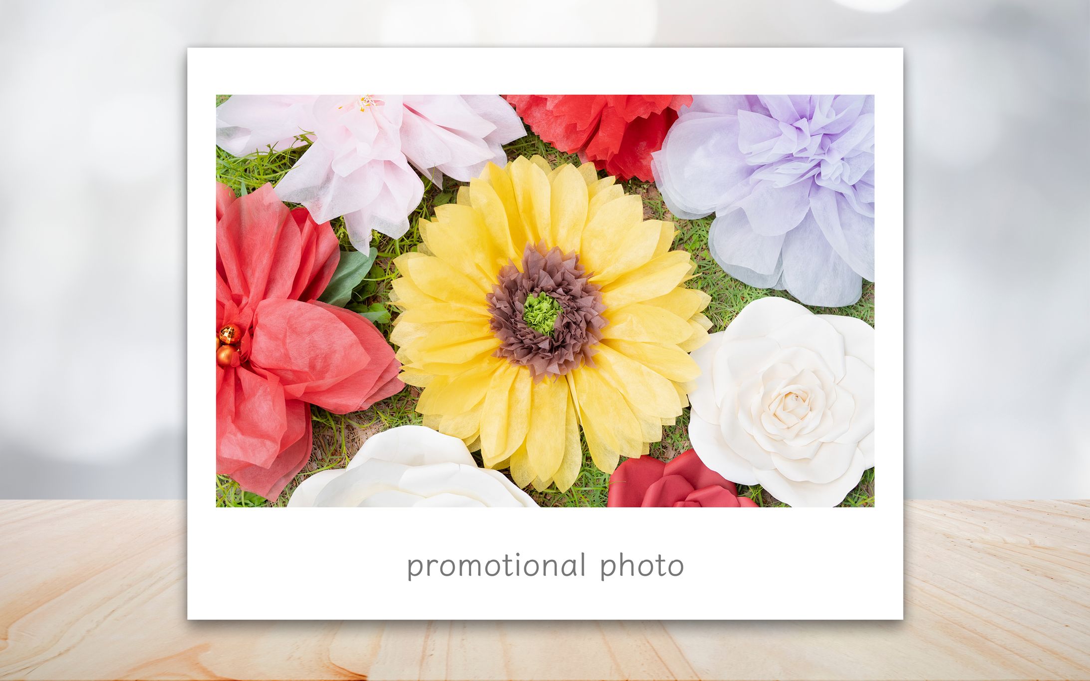 作品・プロフィール撮影（HappyCreativeAcademy様）-1