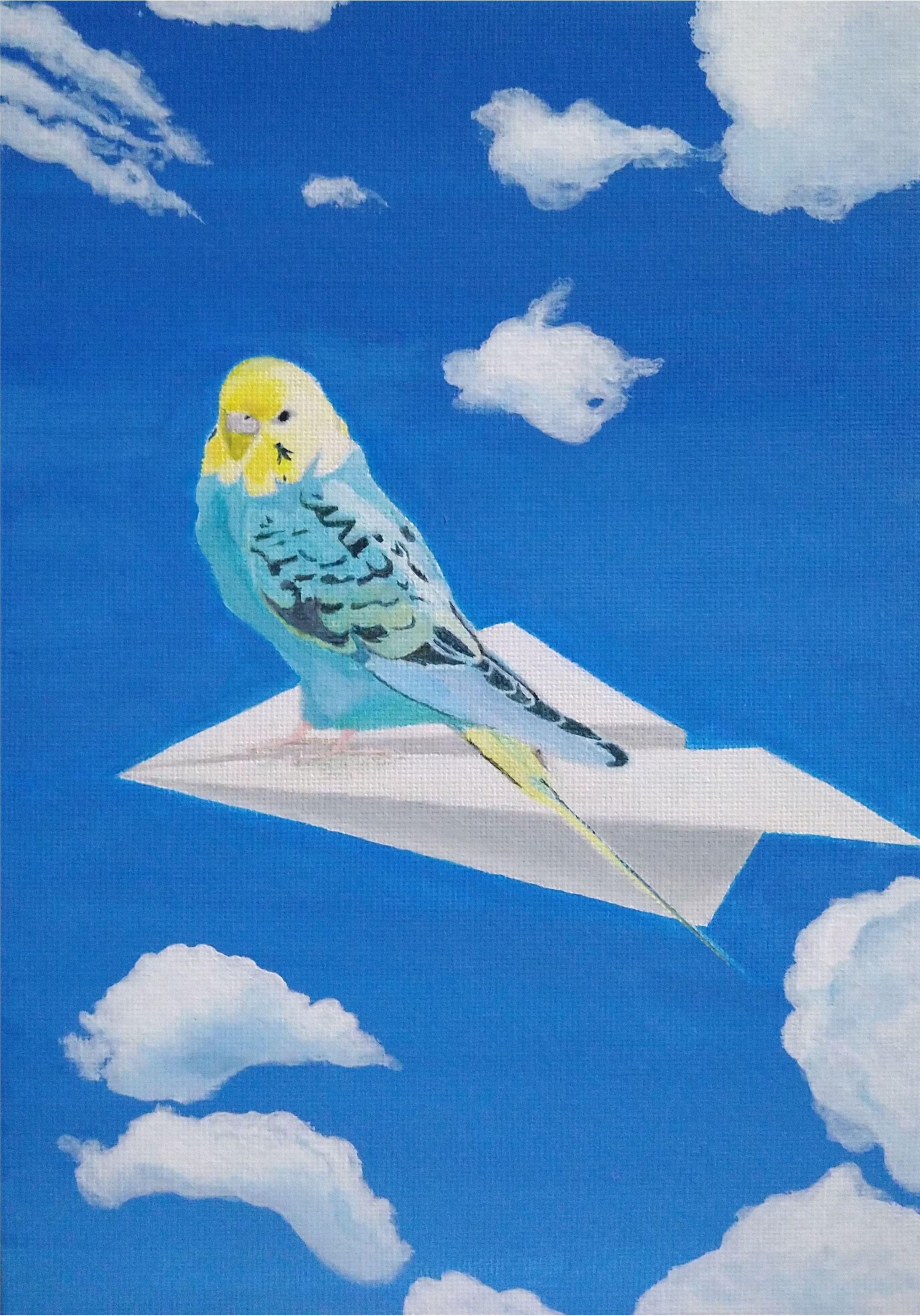 紙飛行機インコ-1