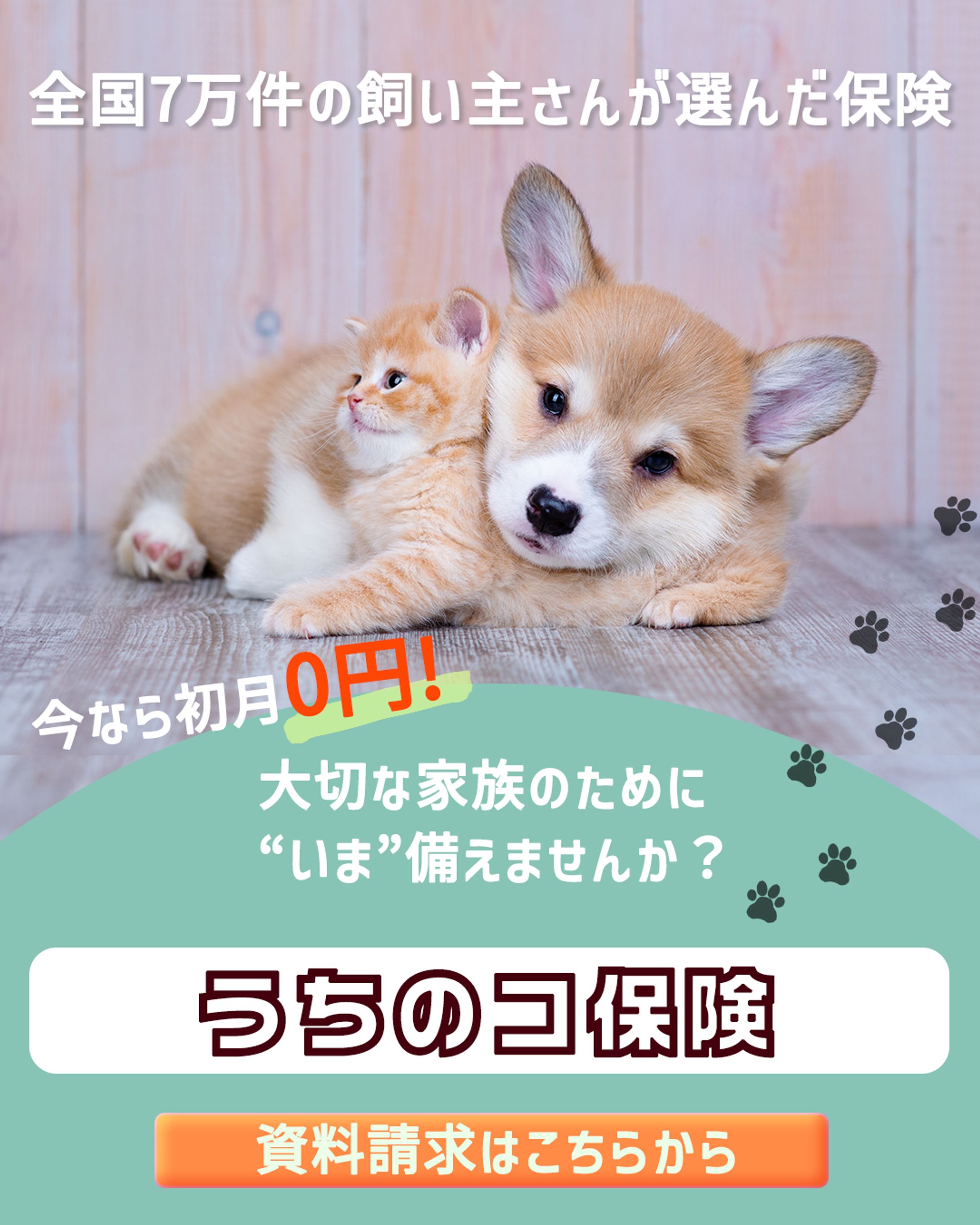 ペット保険バナー-1