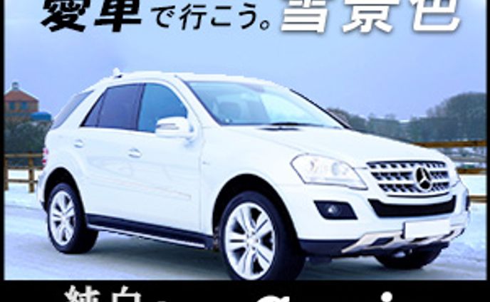 車