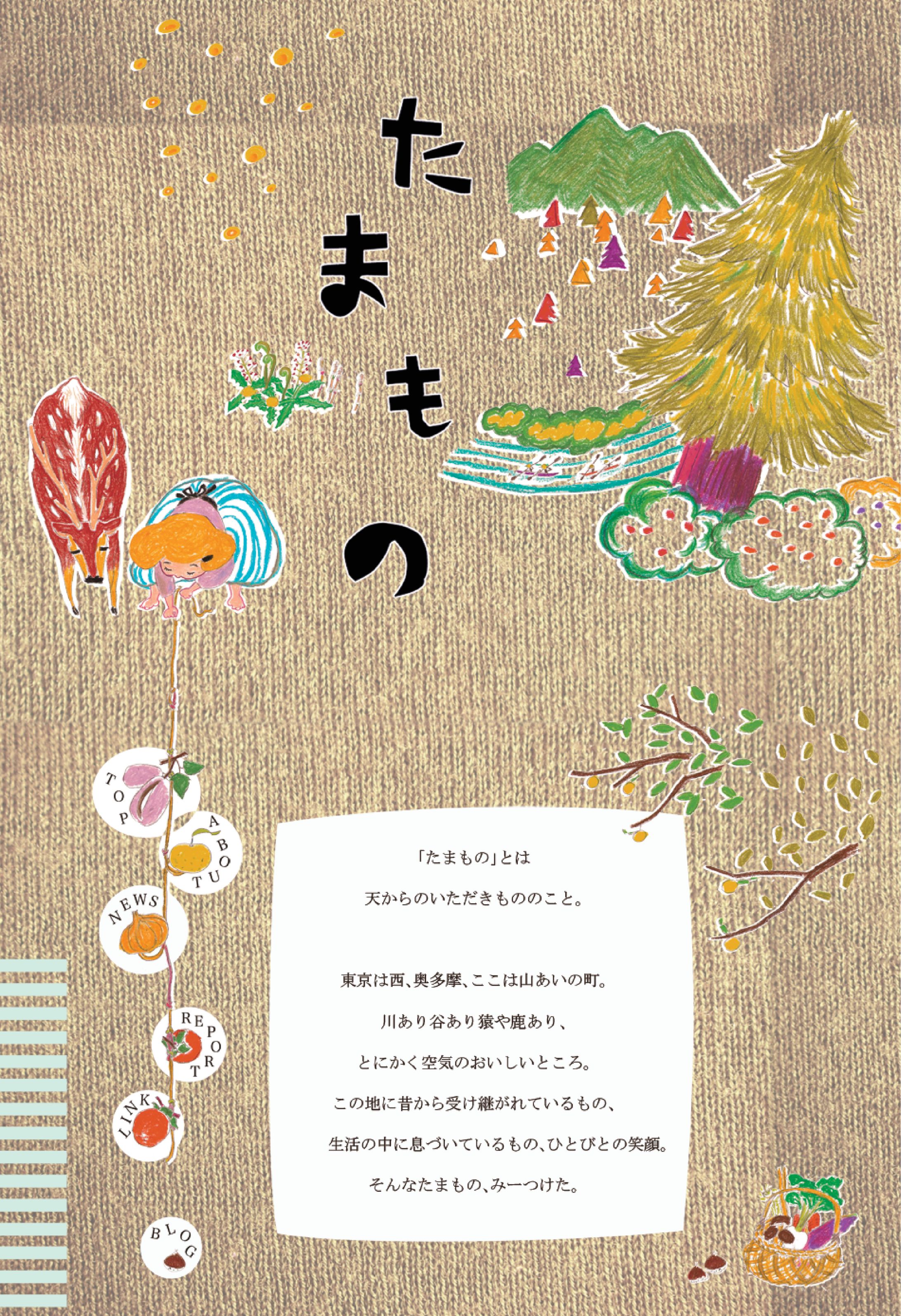 たまものHP-1