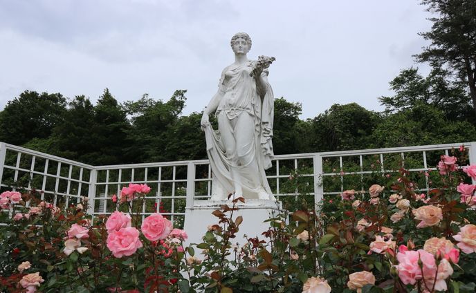 生田緑地ばら苑（2023年春）