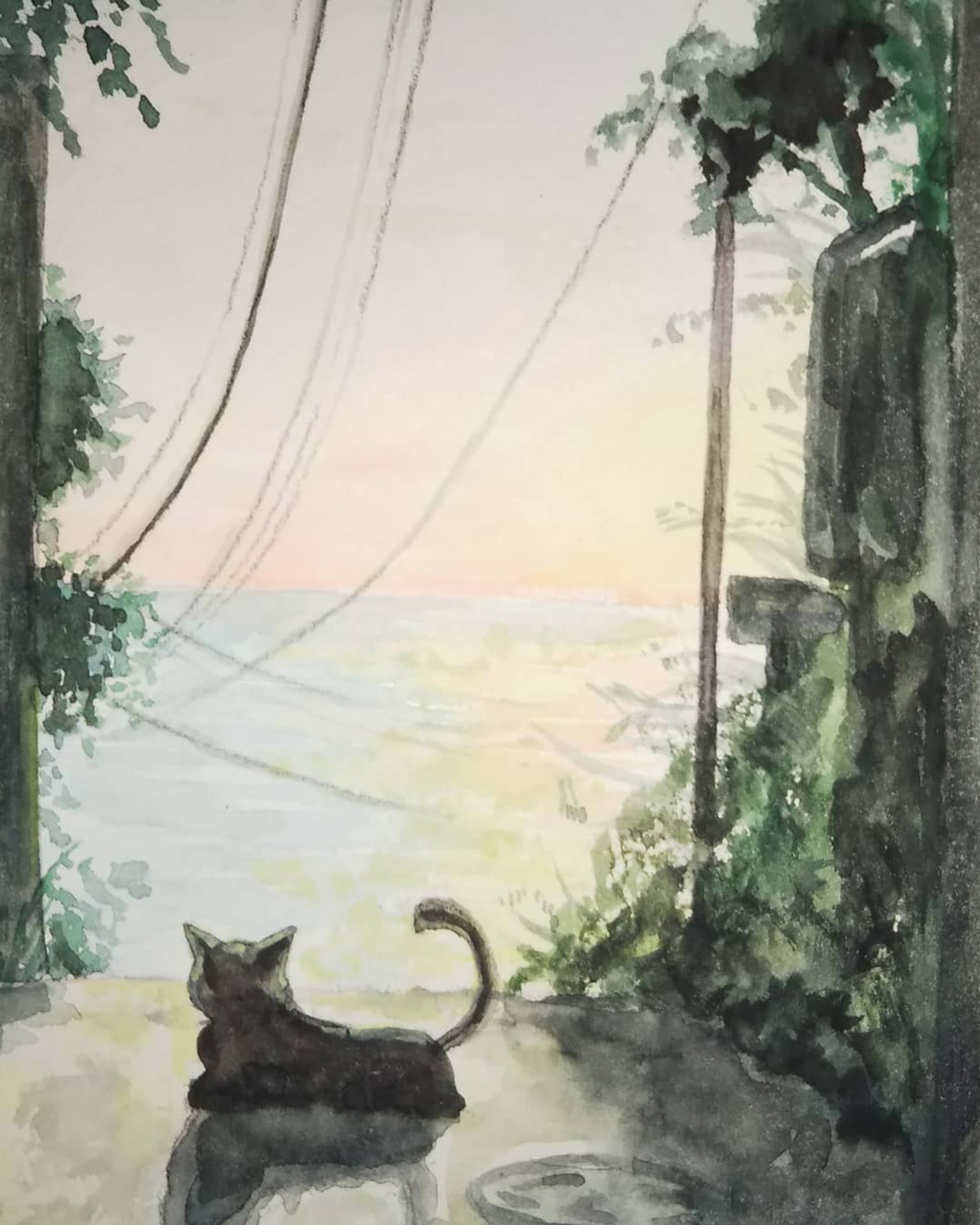 #猫
#夕景
#海
#逆光
#水彩画-1