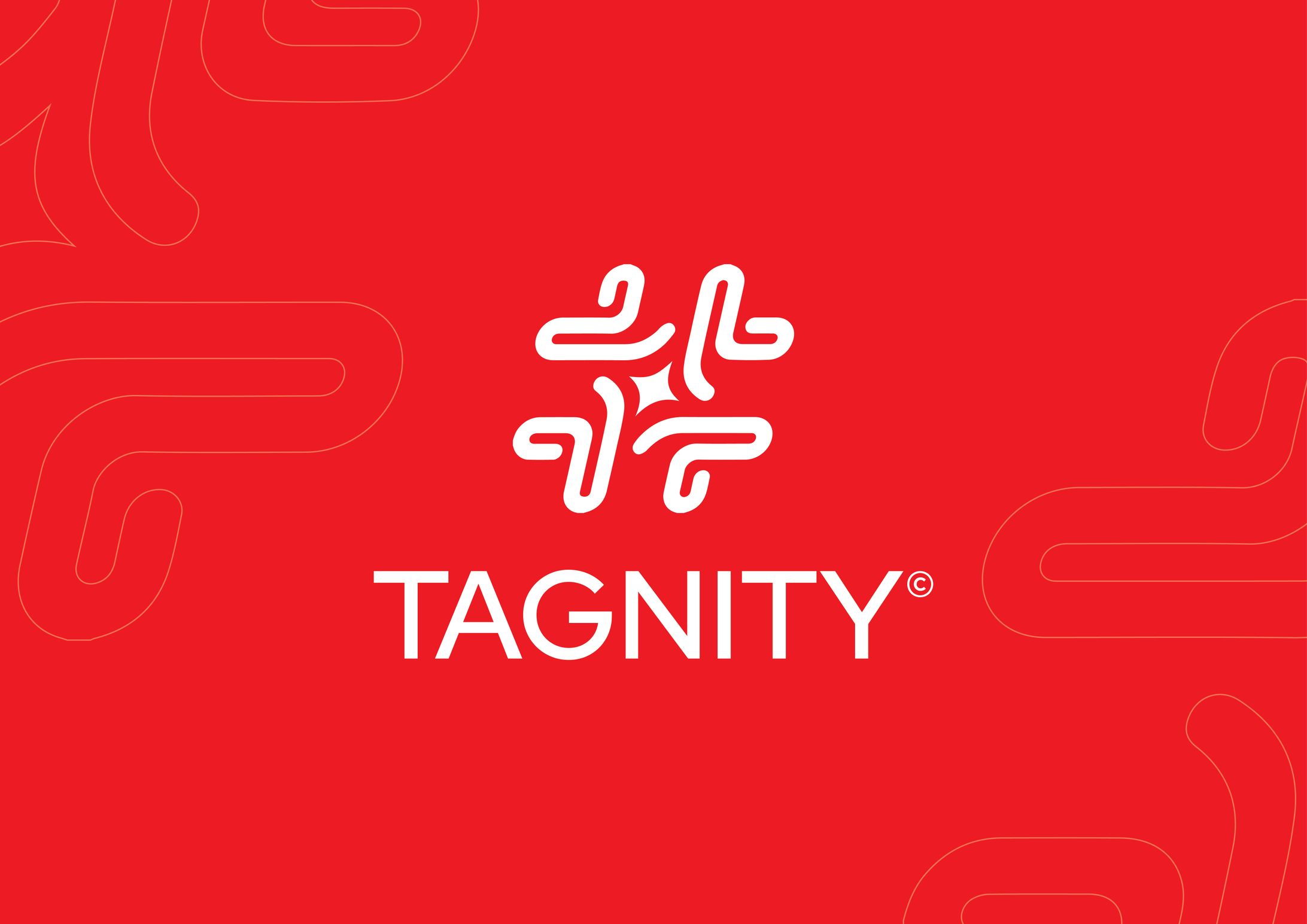 Guidelines Logo TAGNITY-1