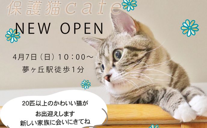 猫カフェバナー作成