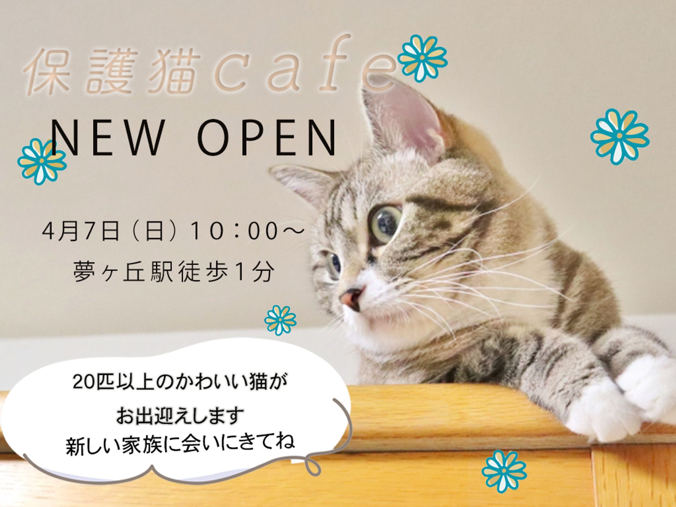猫カフェバナー作成-1