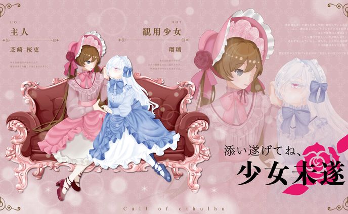 添い遂げてね、少女未遂 ディスプレイ