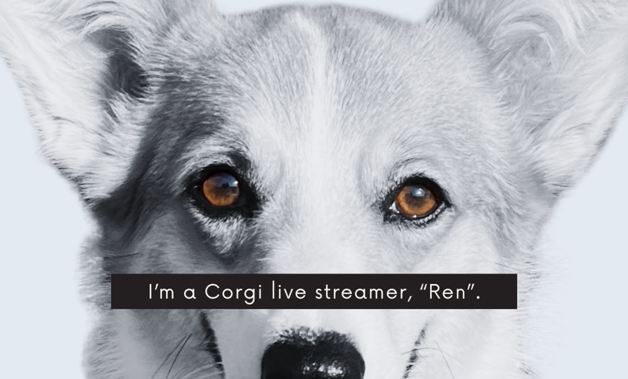 [実績]蓮 名刺デザイン-1