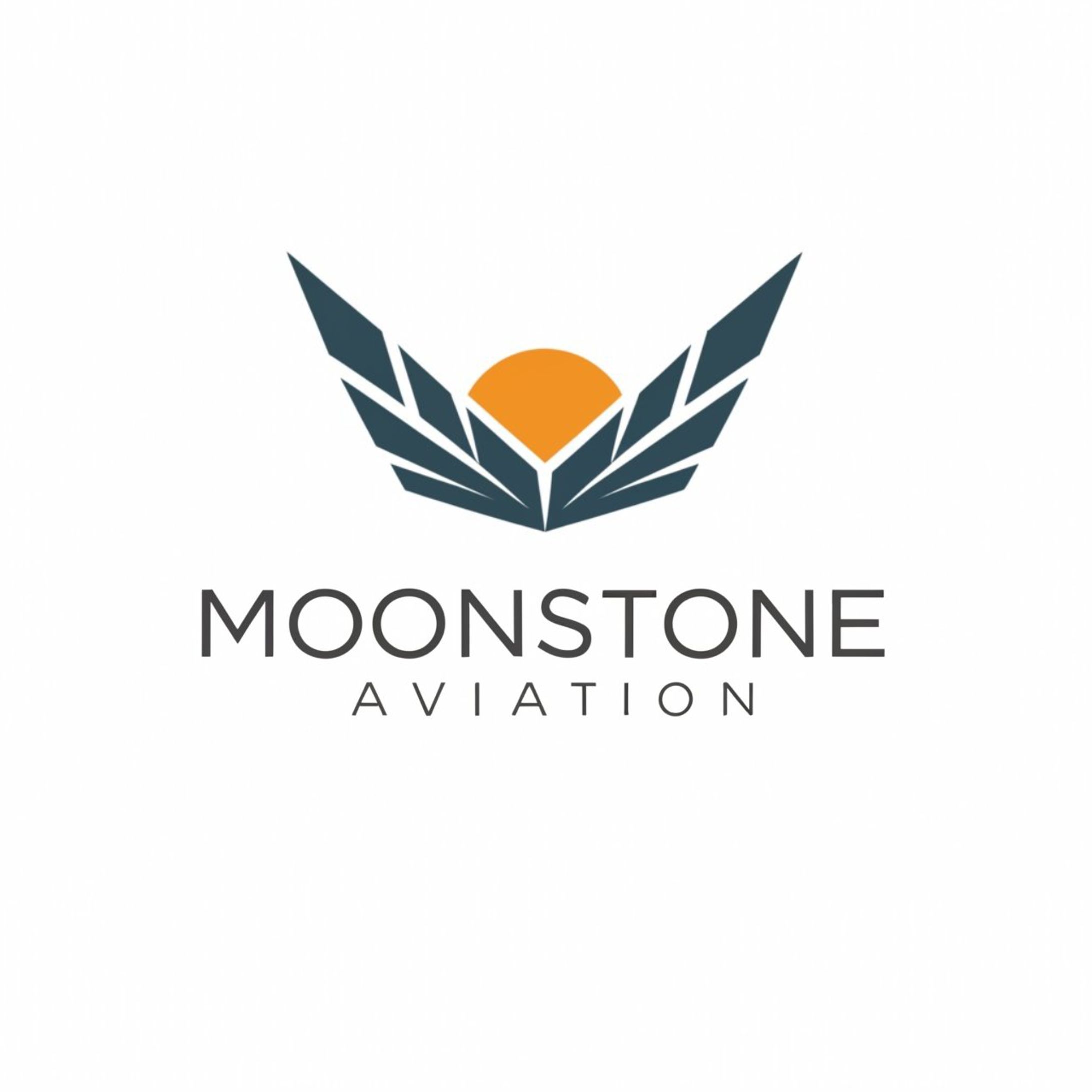 AVIATION LOGO -1