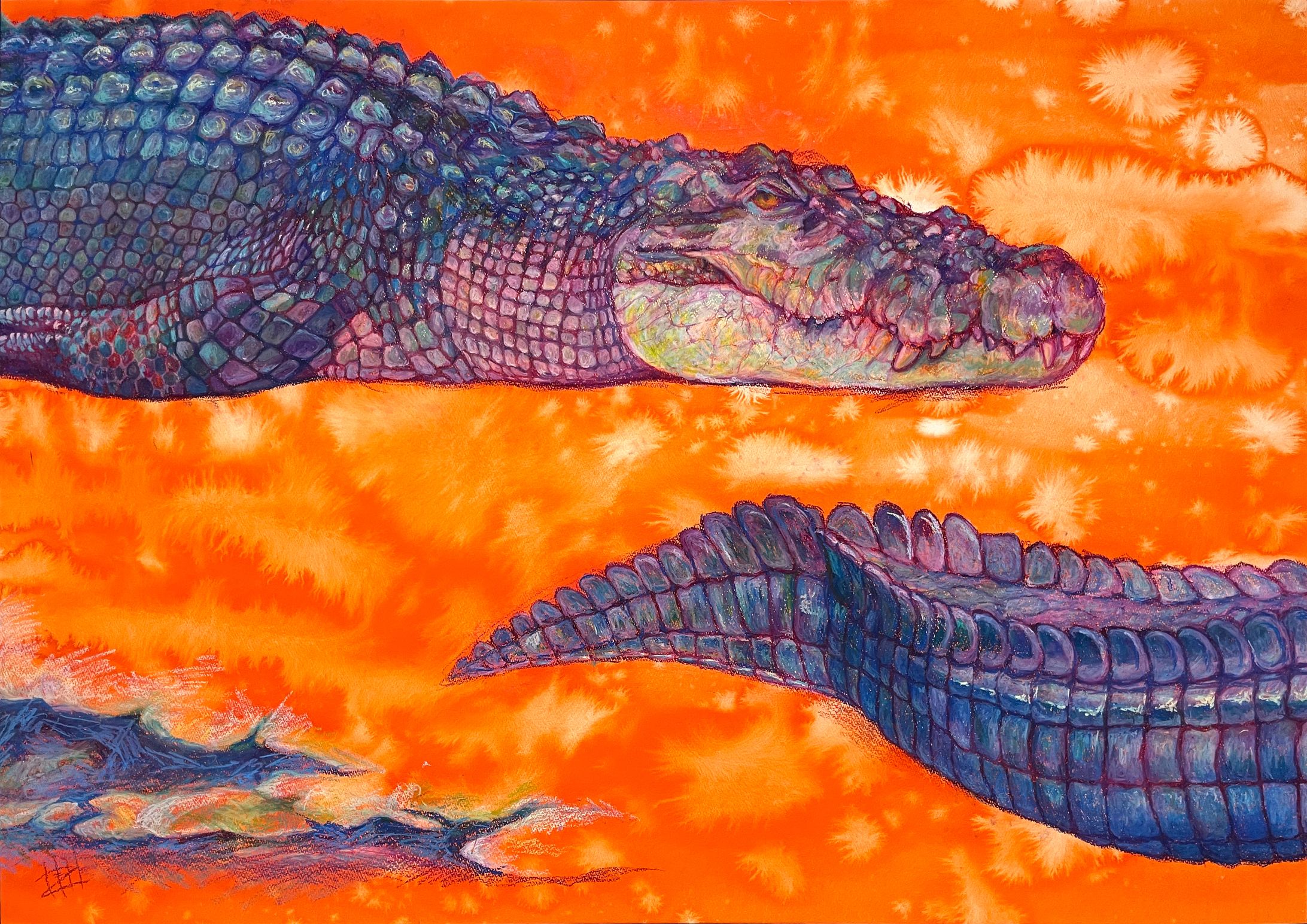 wani　-crocodile--1