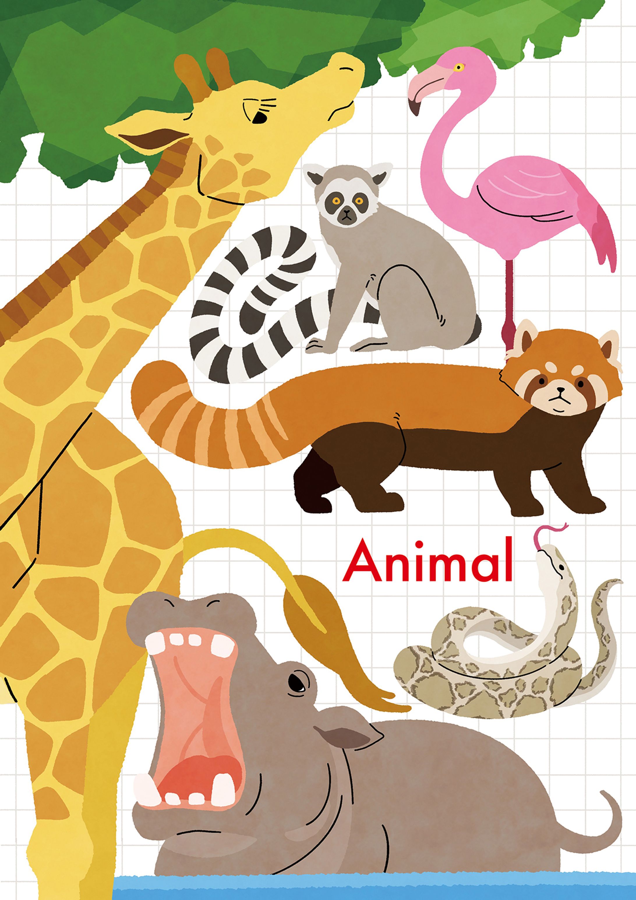 動物イラスト1-1