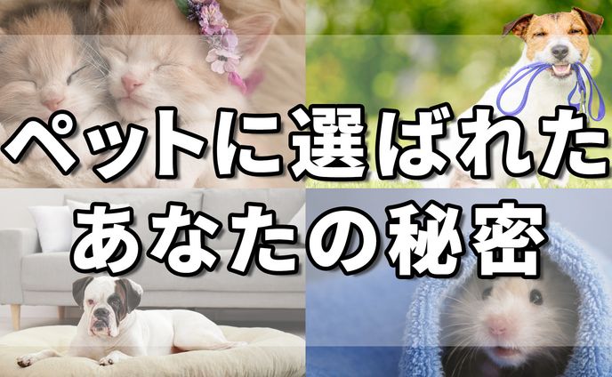 ペット系スピリチュアルチャンネル　サムネ
