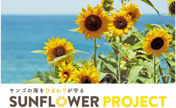 【Web,Logo】SUNFLOWER PROJECT