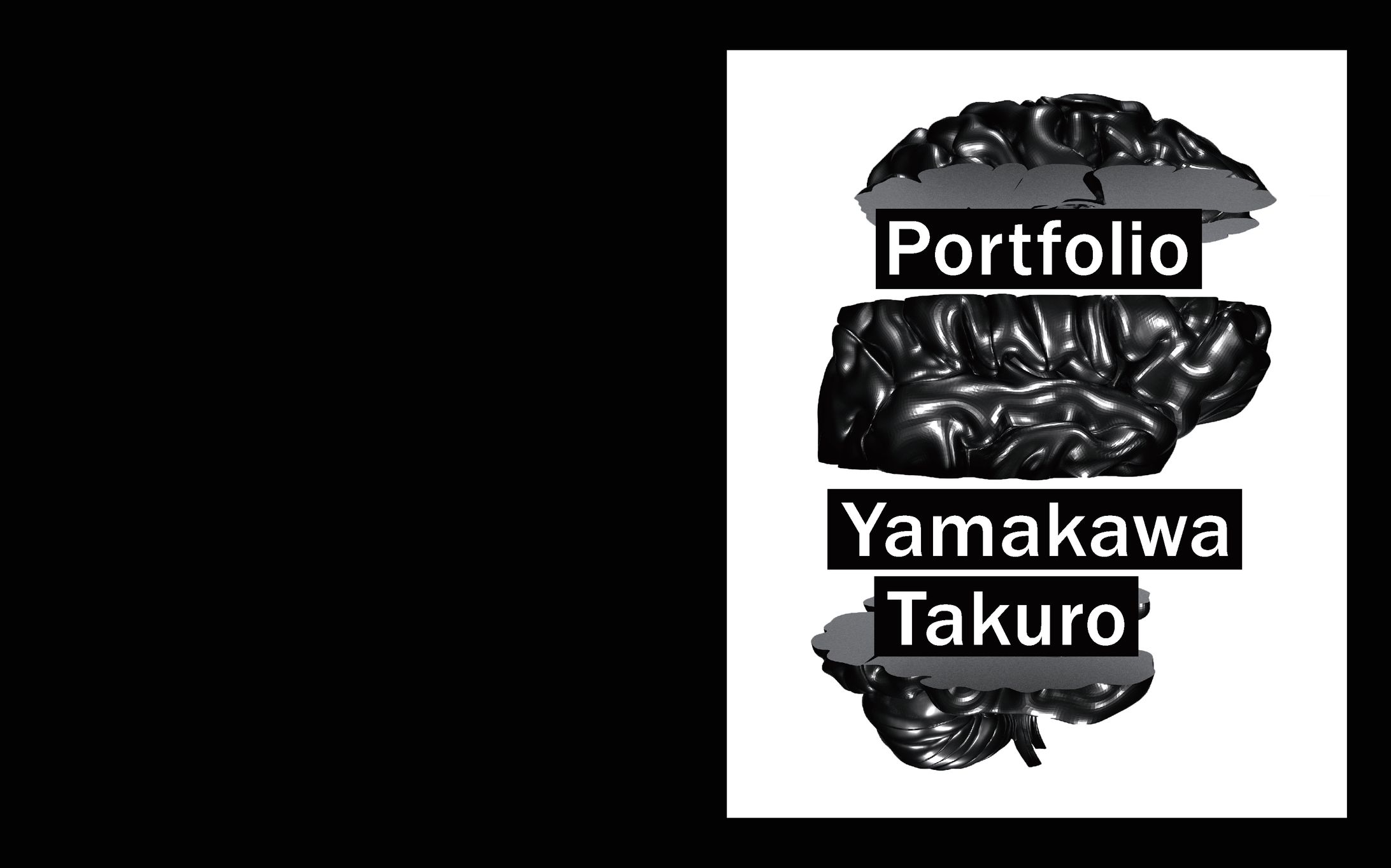 Portfolio-1