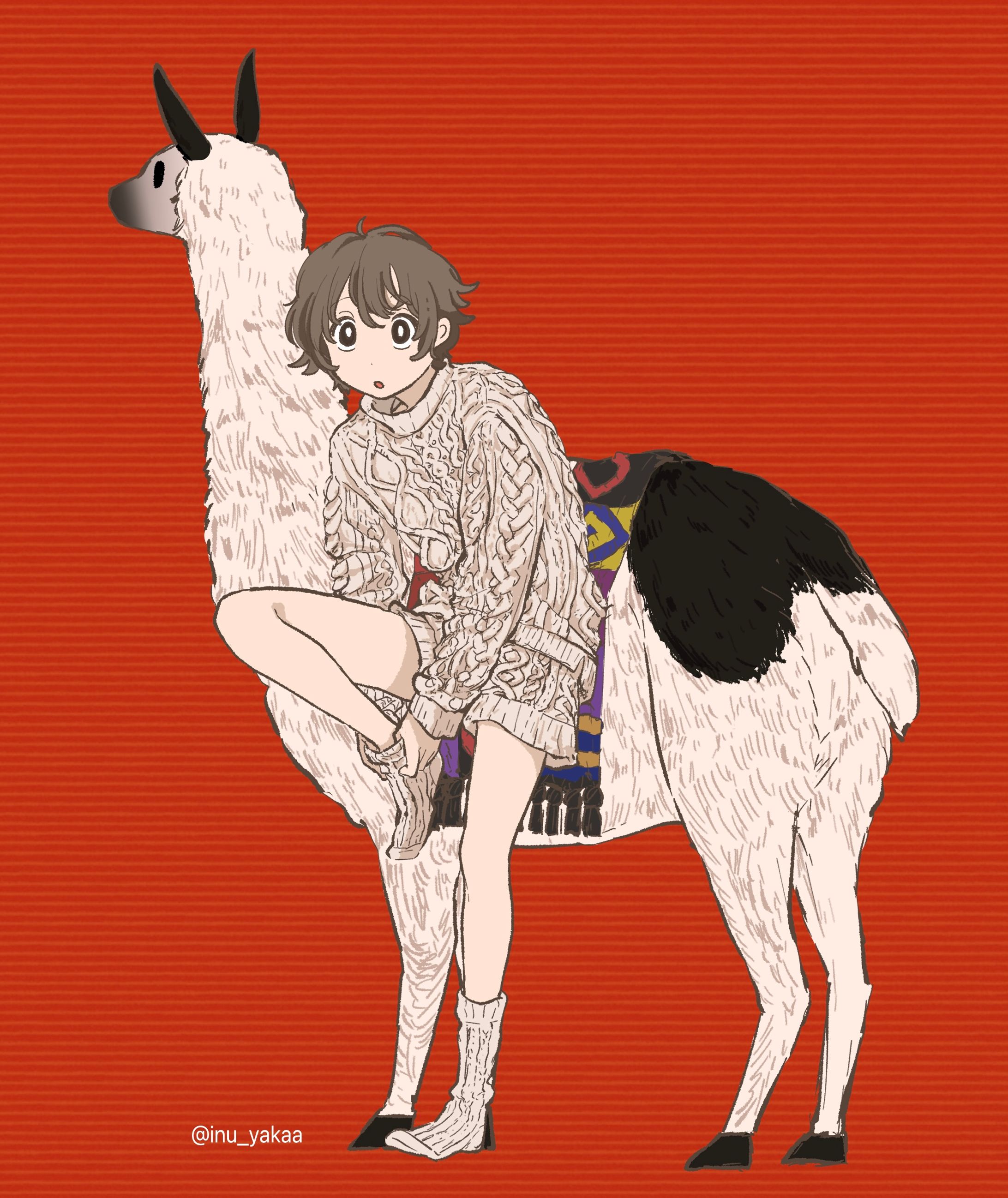 リャマ-1