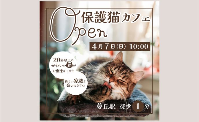 保護猫カフェ　バナー