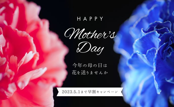 母の日　広告バナー