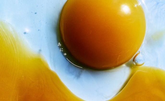 RADWIMPS Album - あにゅー