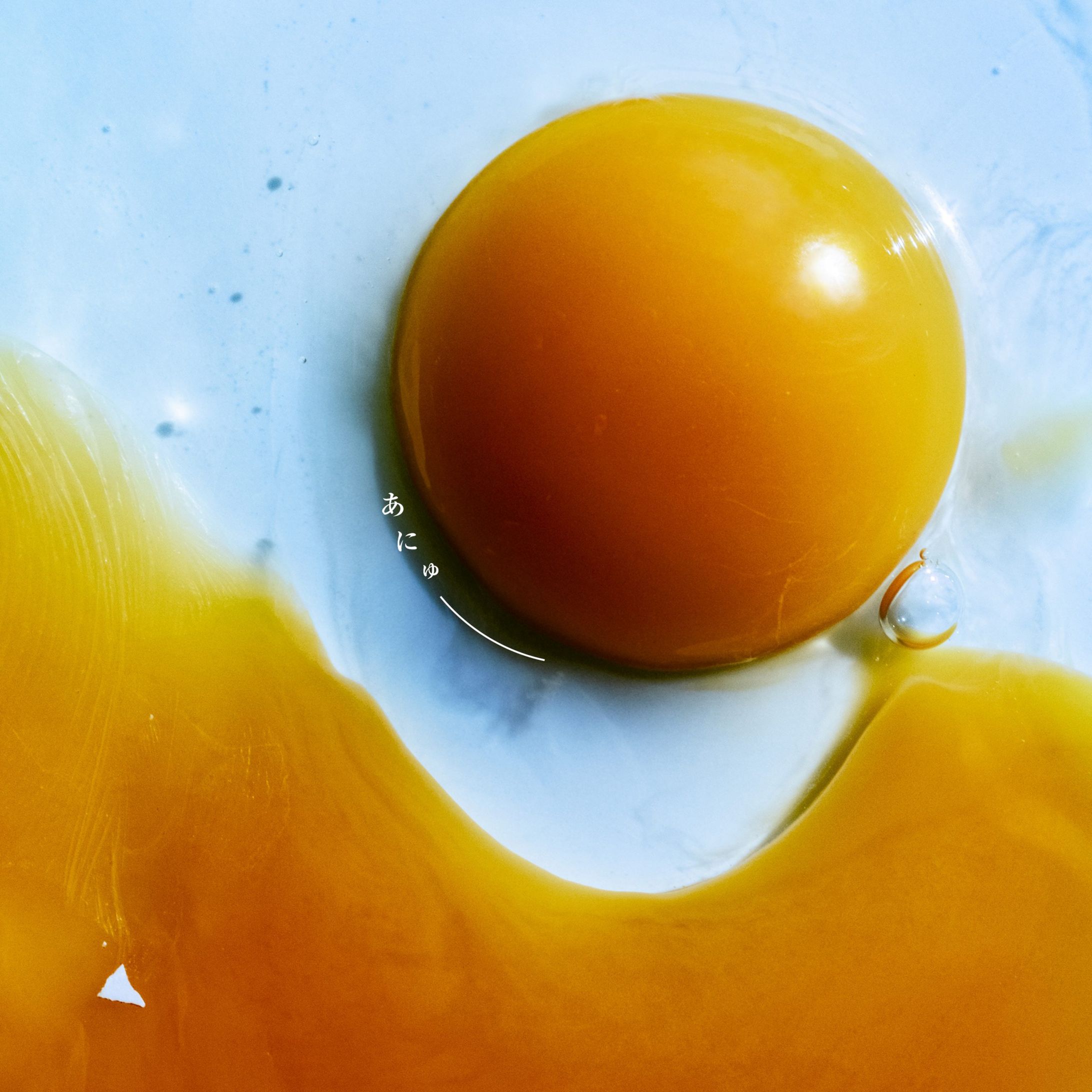 RADWIMPS Album - あにゅー-1