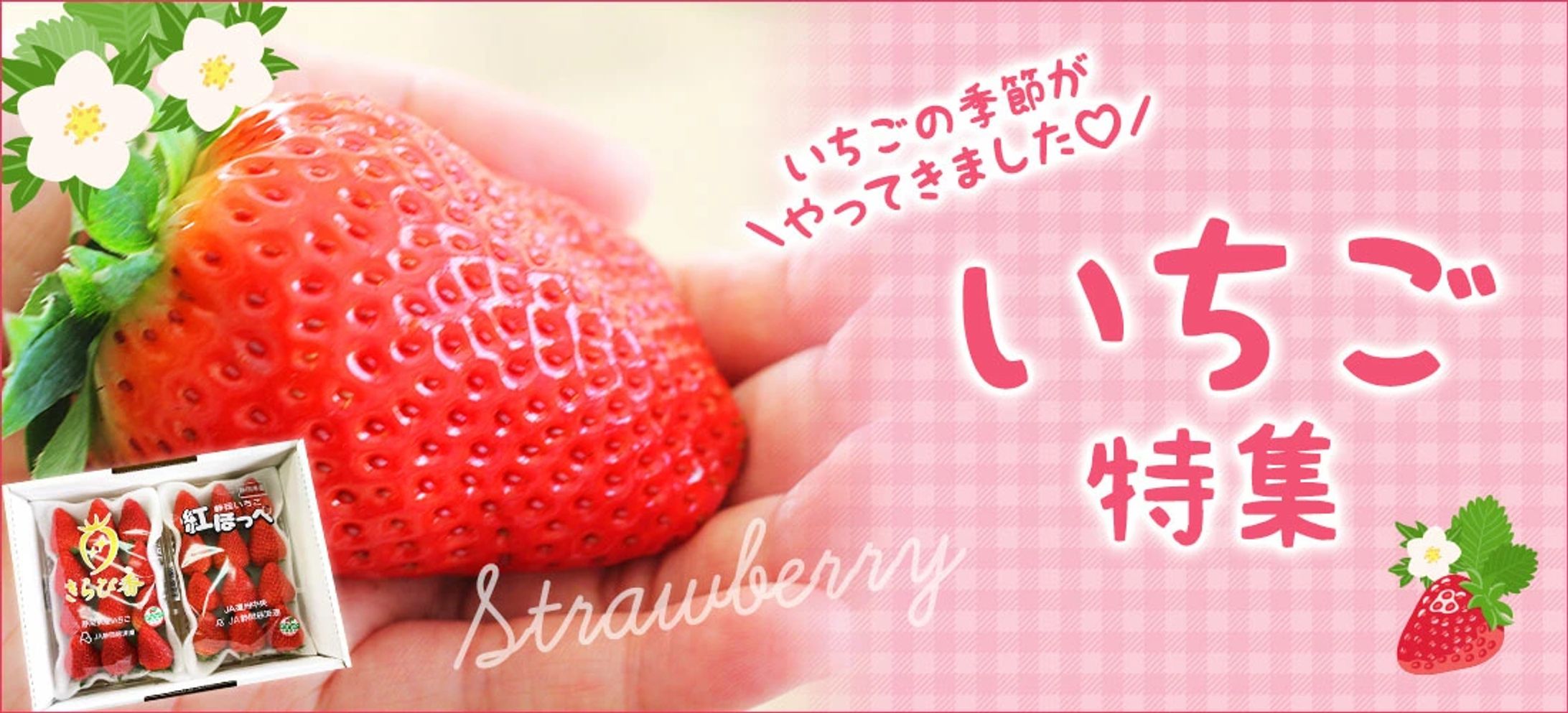 いちご特集バナー-1
