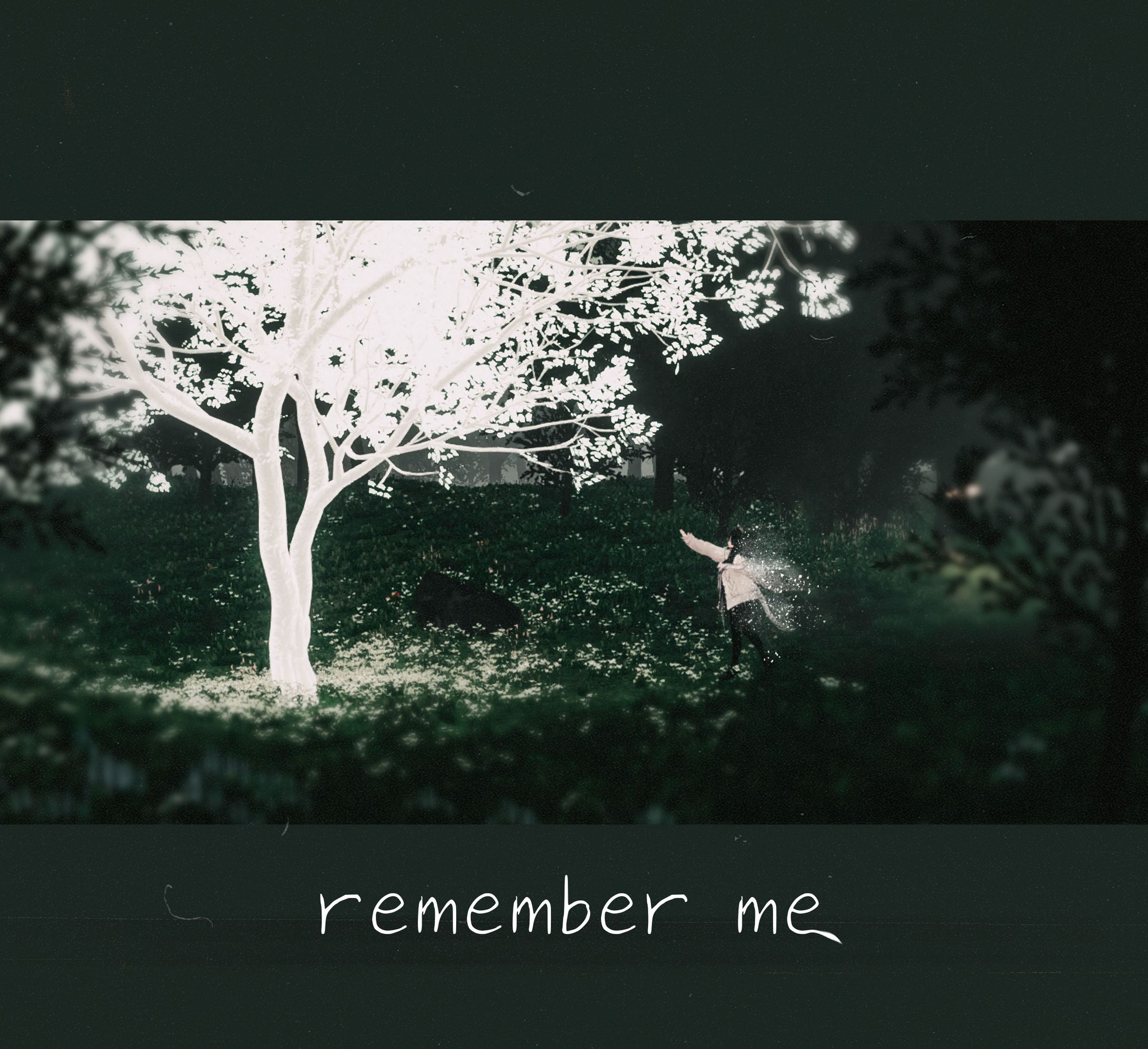 Remember me-1