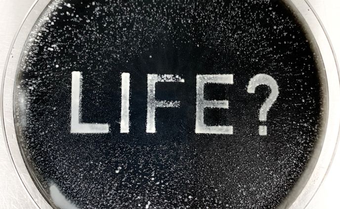 what is life?