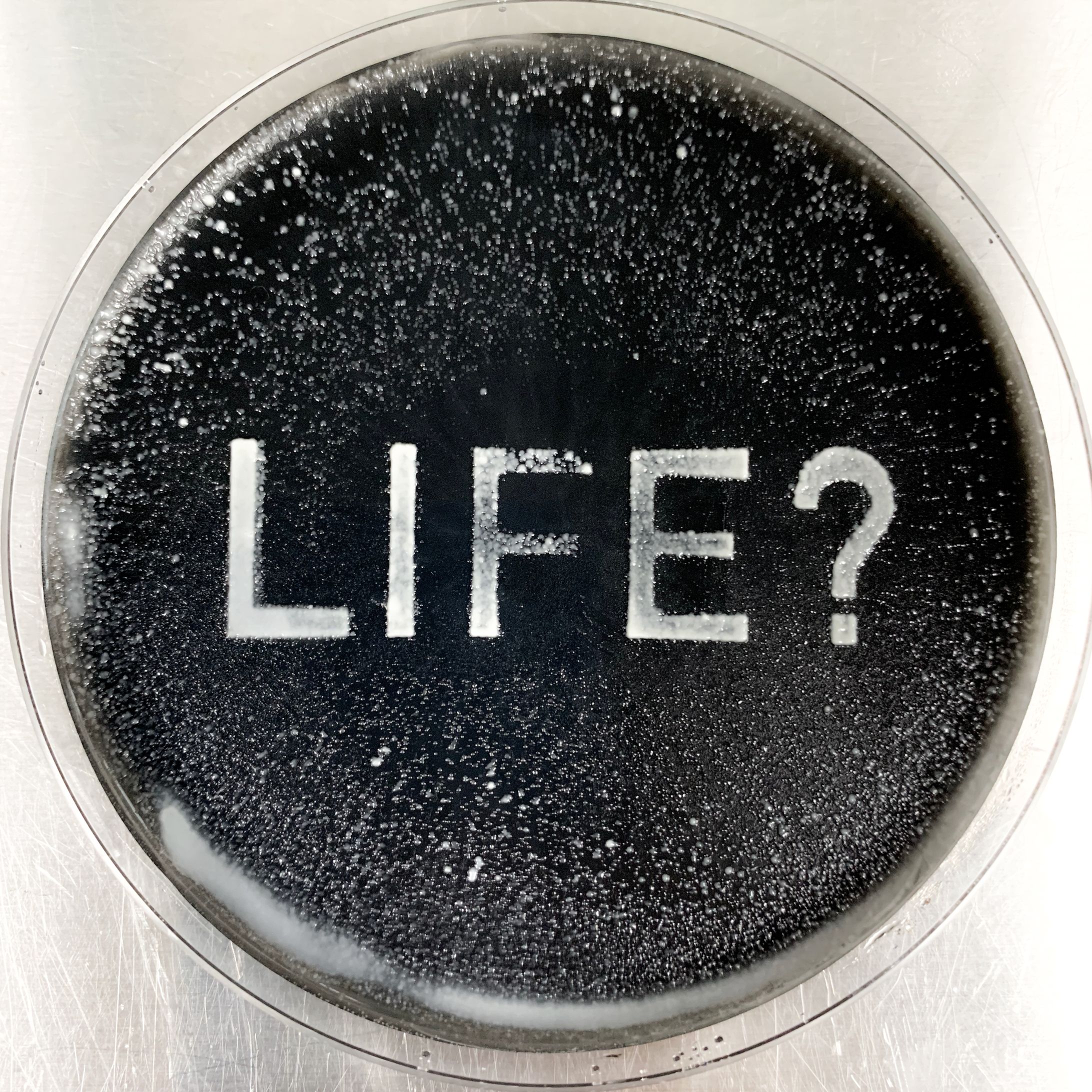 what is life?-1