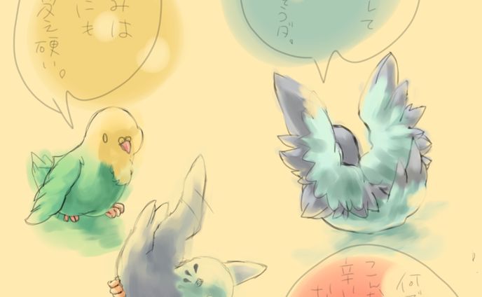 インコ雛