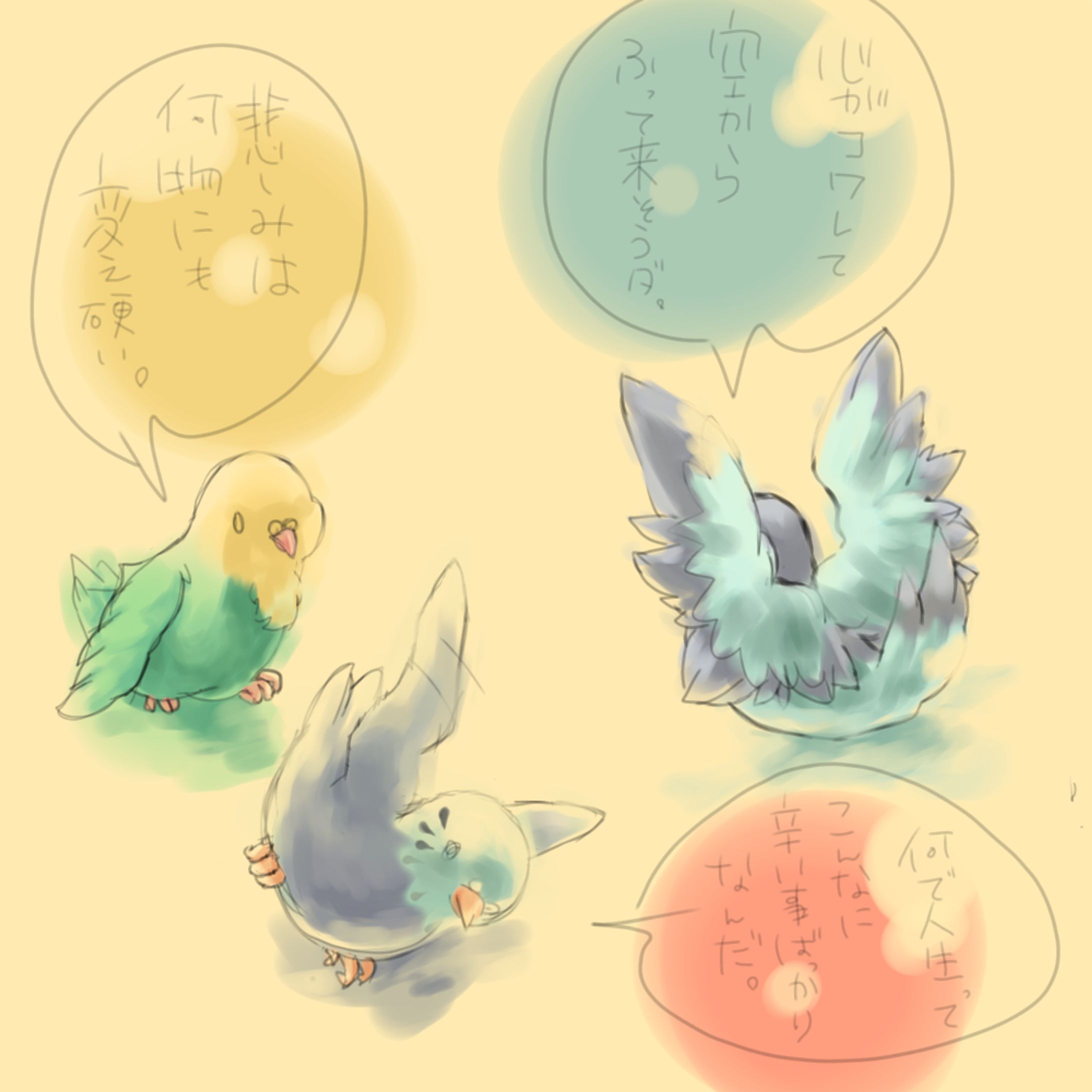 インコ雛-1