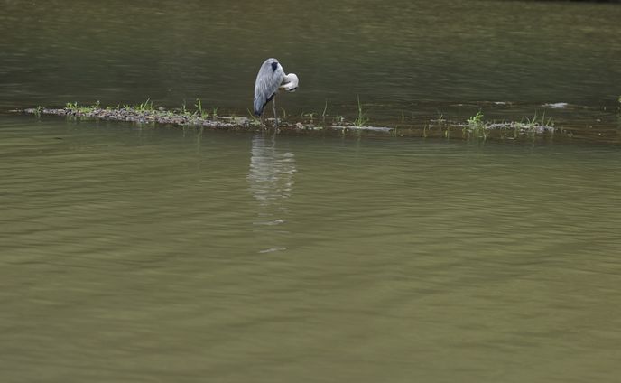 水面