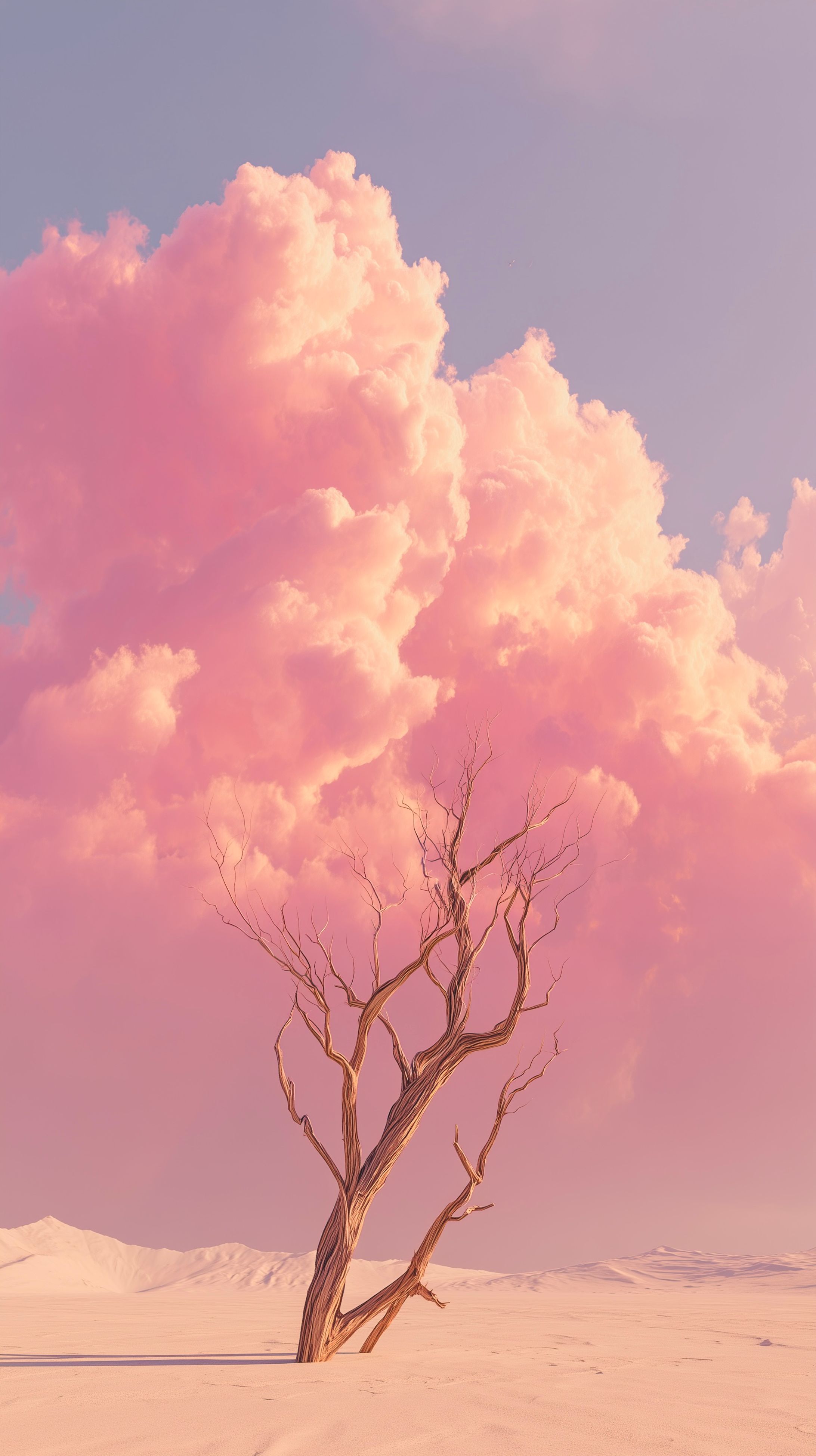 BEYOND REALITY【縦】-1