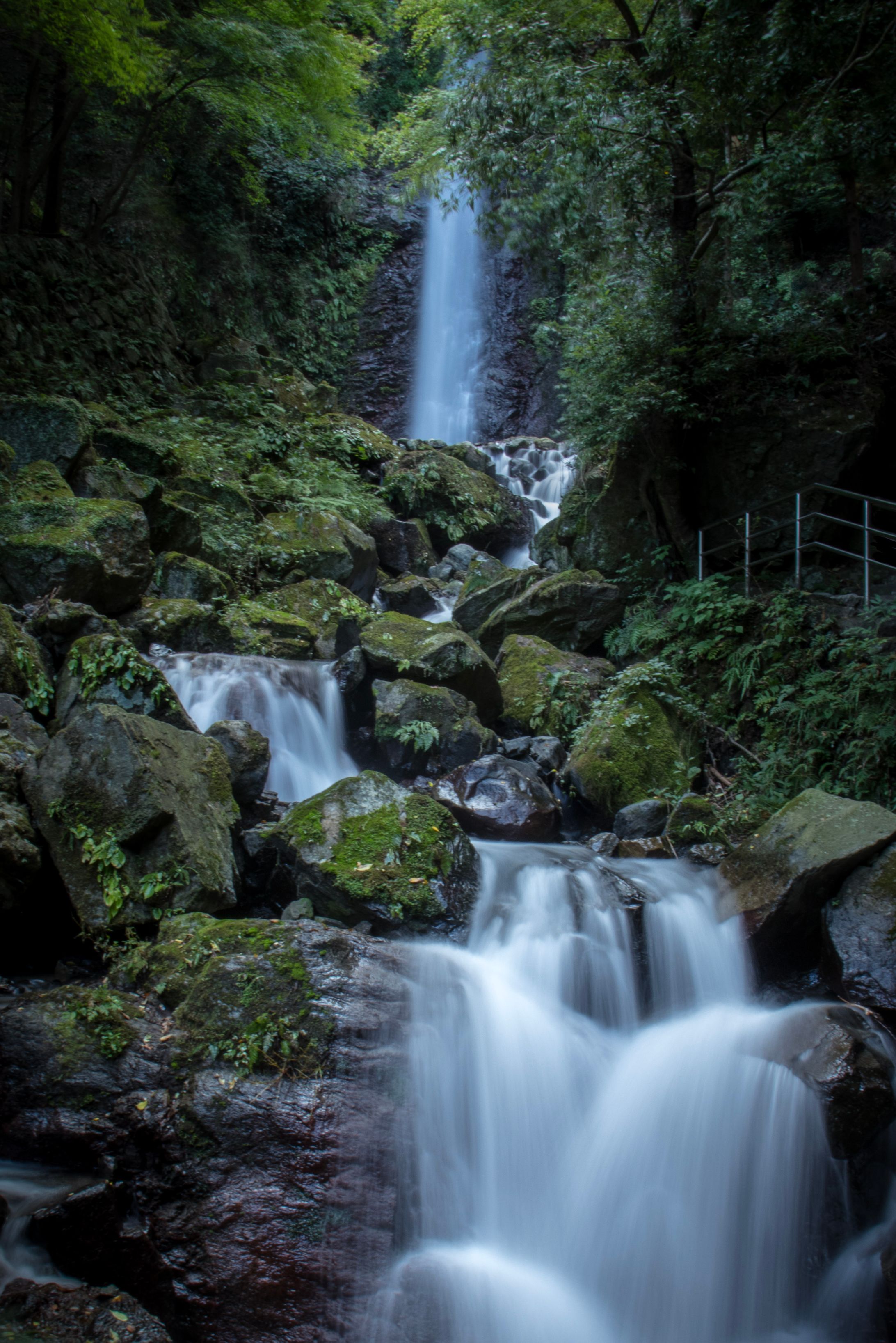 写真撮影/RAW現像-1