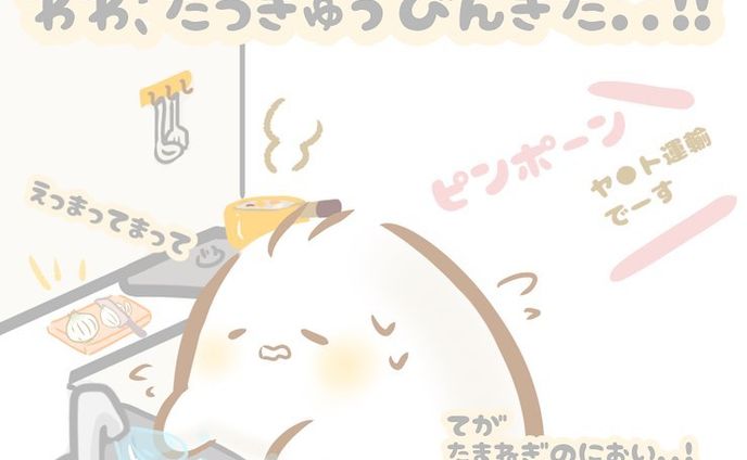 ひとみしりっこ

【お料理ちゅう🍳】に
宅急便屋さん🚛きたとき..↓↓

／
ピンポーン🎶
＼
(´⊙ω⊙`)❣️ハッ✨

「ハァ〜〜ッイ！！」←大声

ち、ちょまっ！います！
いるので！まって〜ッ！🤣💫
(タマネギ🧅、生肉🍖
手についたまま受けとるの
申し訳なくてですね..🥹🧅←)

#ひとみしりっこ #キャラis
  #ゆるい #イラスト #可愛い #落書き #絵 #イラストレーター #キャラ #オリジナル #ゆるふわ #オリキャラ描いてみた #イラスト練習中 #イラスト好きな人と繋がりたい #イラストレーターになりたい #イラストグラム始めました