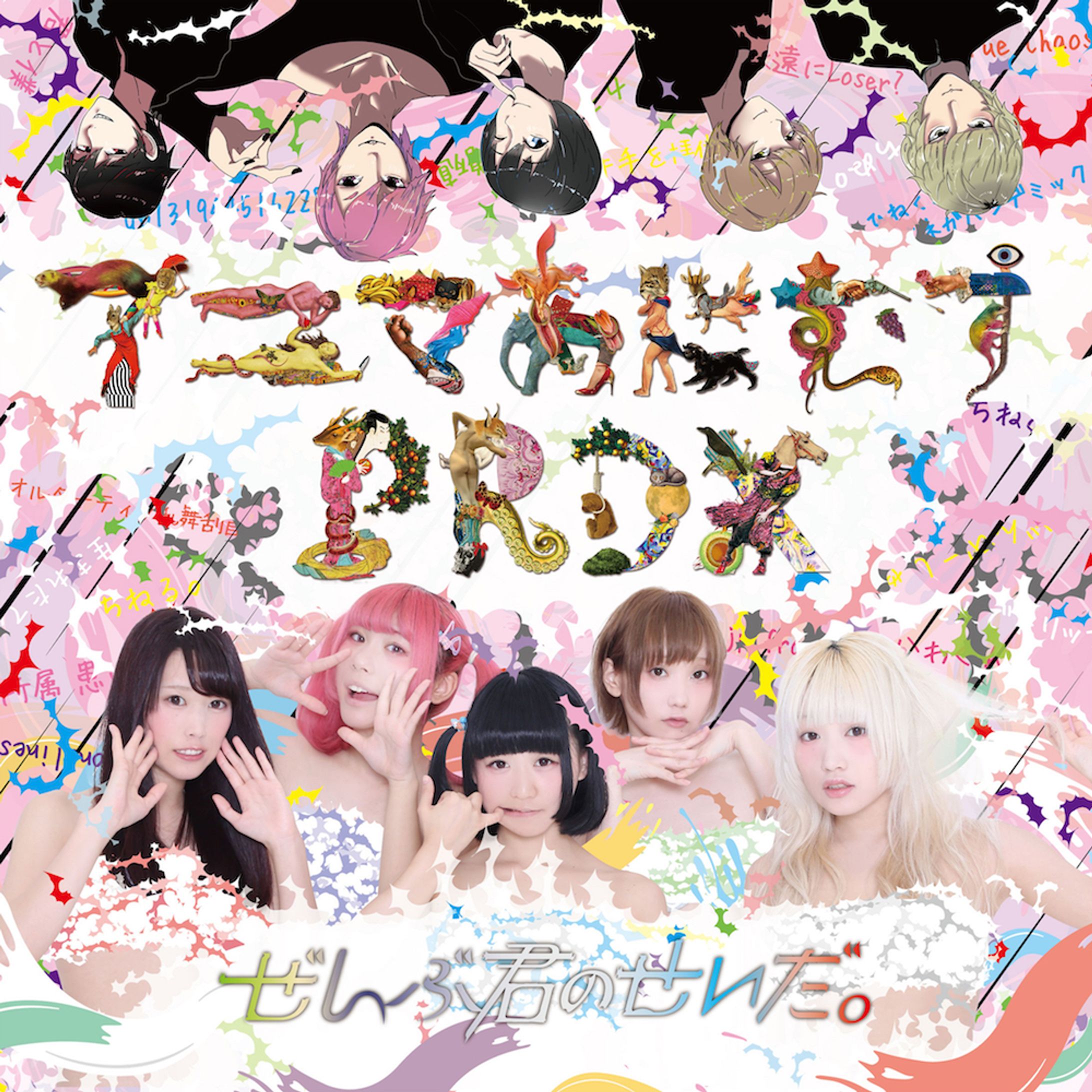 アニマあにむすPRDX-1