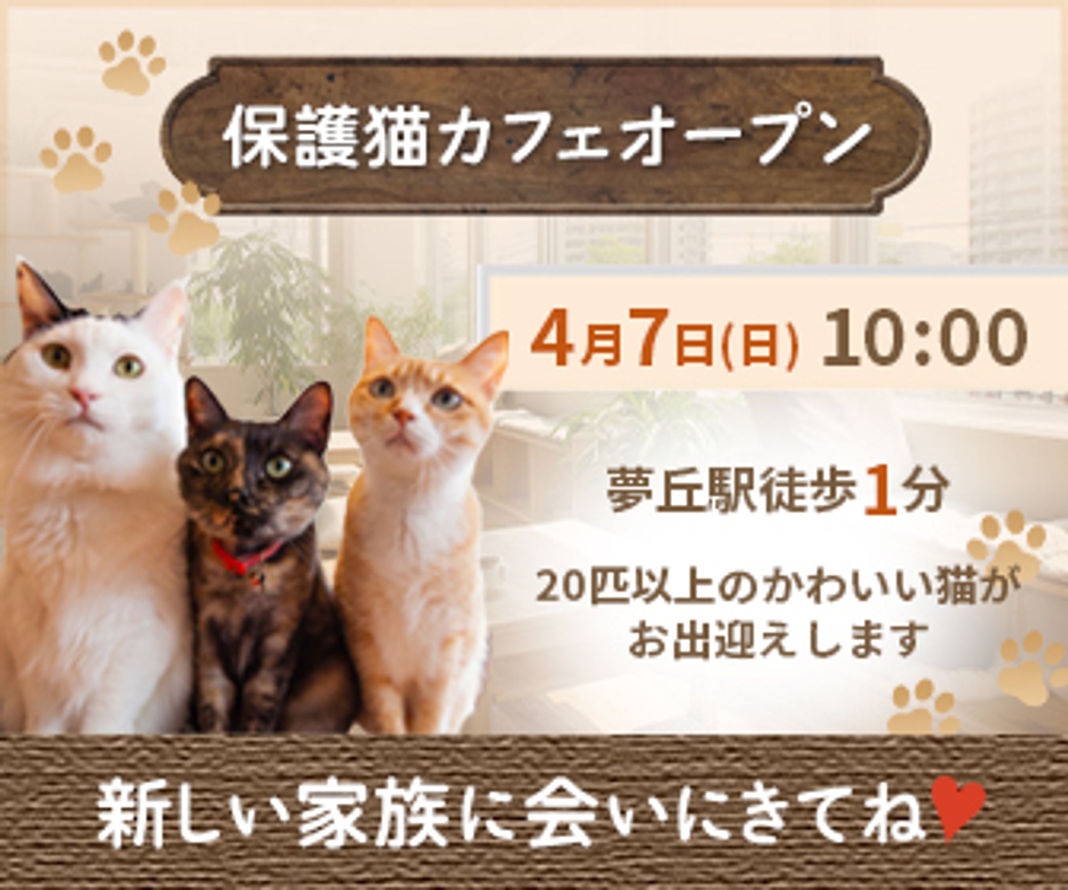 保護猫カフェオープンバナー-1