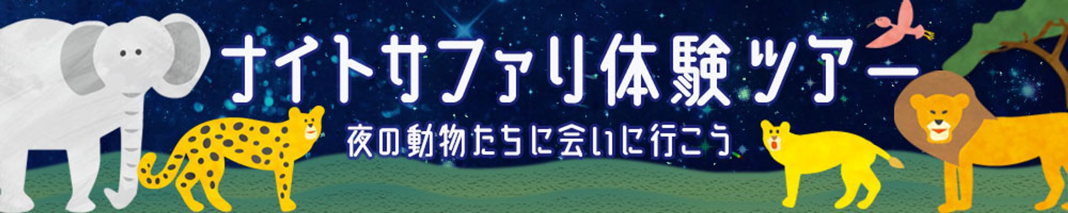 banner_ナイトサファリ-1