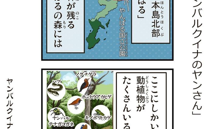 ヤンバルクイナのヤンさん#01 

沖縄に住む、太ったヤンバルクイナのヤンさん。
 ヤンさんは愉快な仲間たちと沖縄の自然豊かなヤンバルで暮らしてます

おきオタ！サイトで4コマを更新中です

#4コマ漫画 #おきオタ #沖縄情報　#観光　#ヤンバルクイナ #やんばる #ヤンバルヤンさん