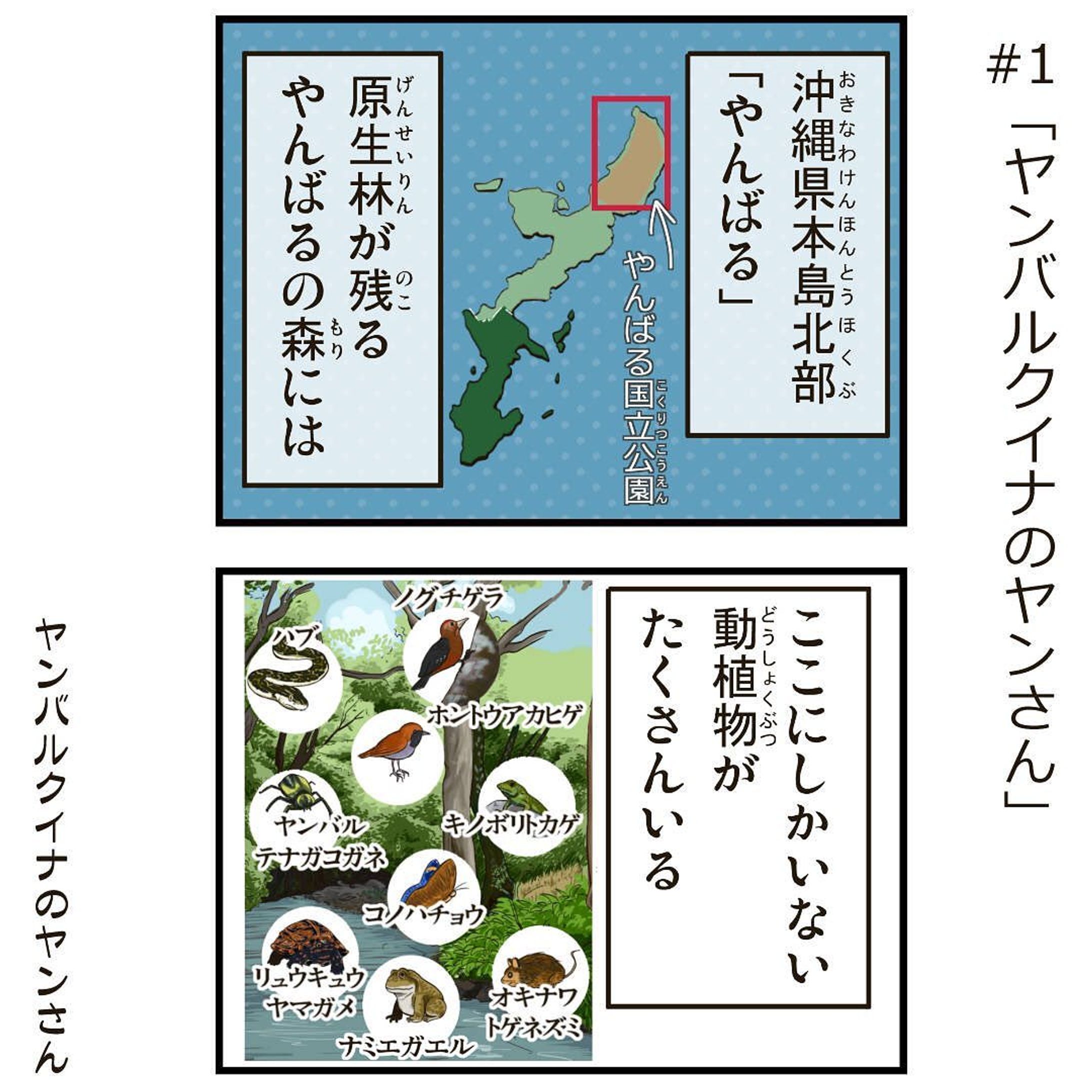 ヤンバルクイナのヤンさん#01 

沖縄に住む、太ったヤンバルクイナのヤンさん。
 ヤンさんは愉快な仲間たちと沖縄の自然豊かなヤンバルで暮らしてます

おきオタ！サイトで4コマを更新中です

#4コマ漫画 #おきオタ #沖縄情報　#観光　#ヤンバルクイナ #やんばる #ヤンバルヤンさん-1