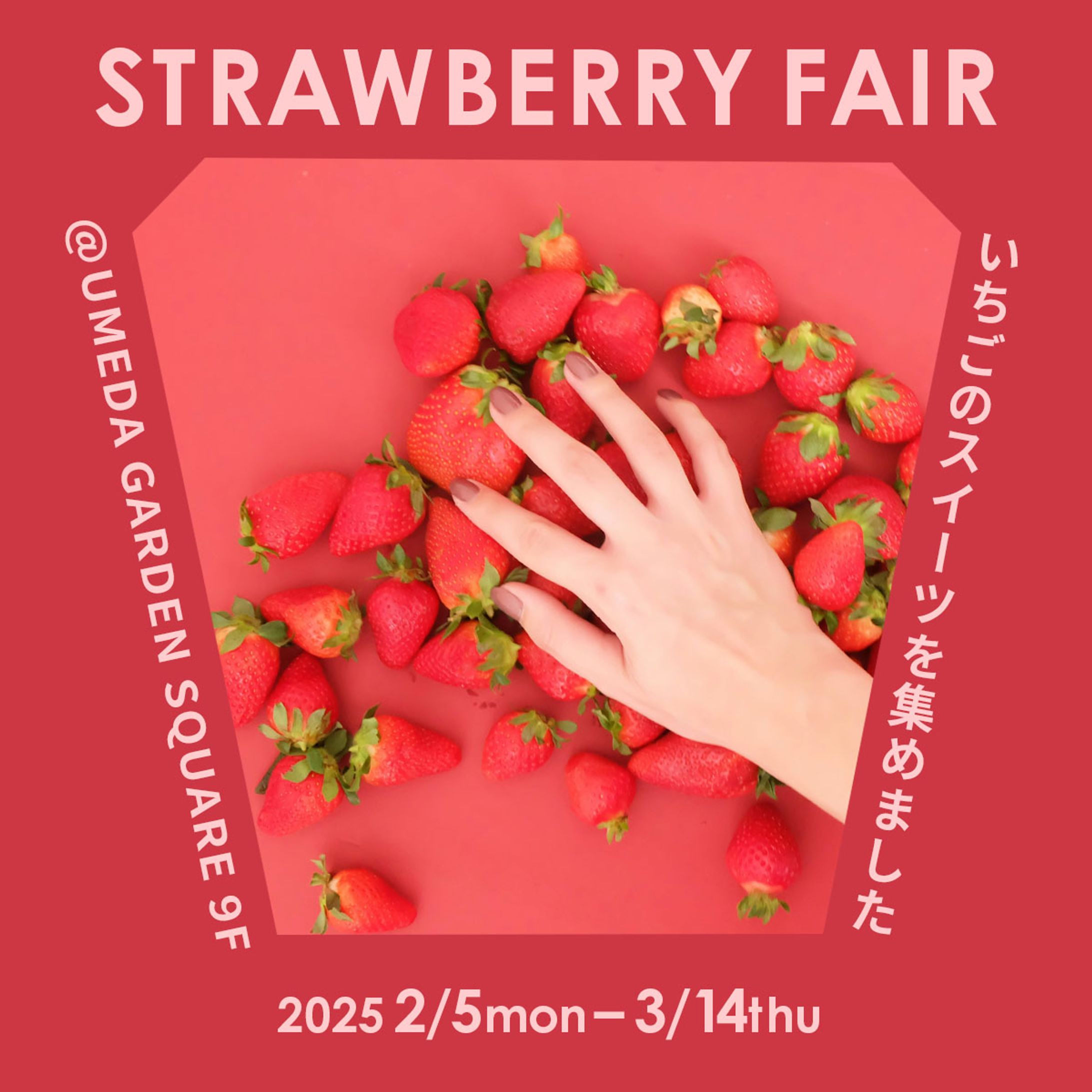 いちごウェア-1