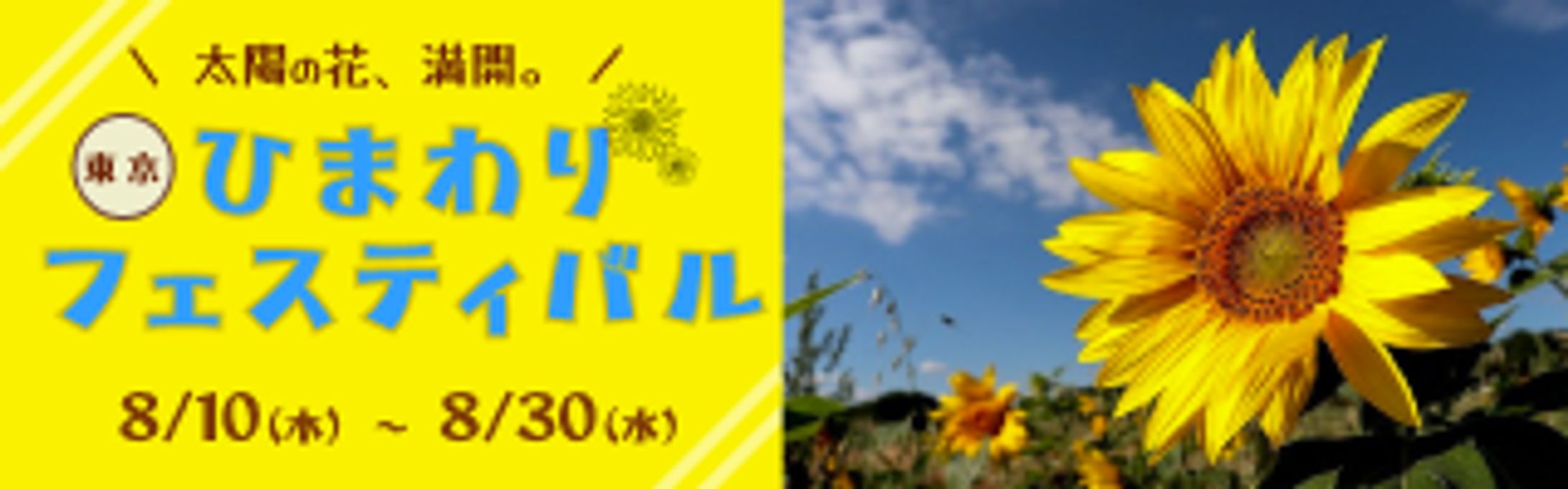 ひまわりフェスティバル（架空）　バナー(320*100)-1