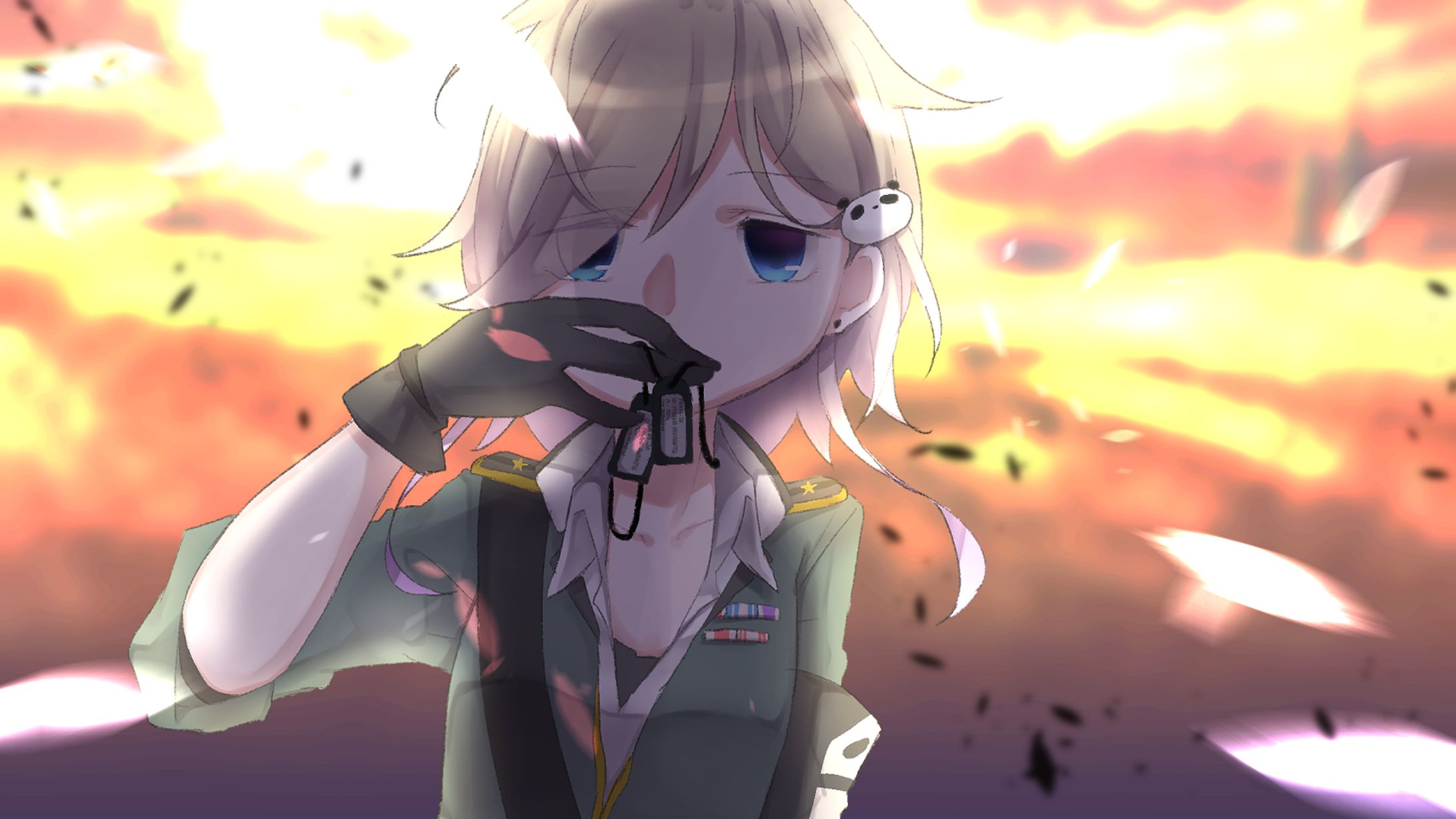 板田草01-1