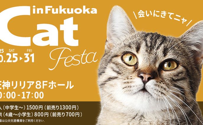 Cat フェスタ（オリジナル）