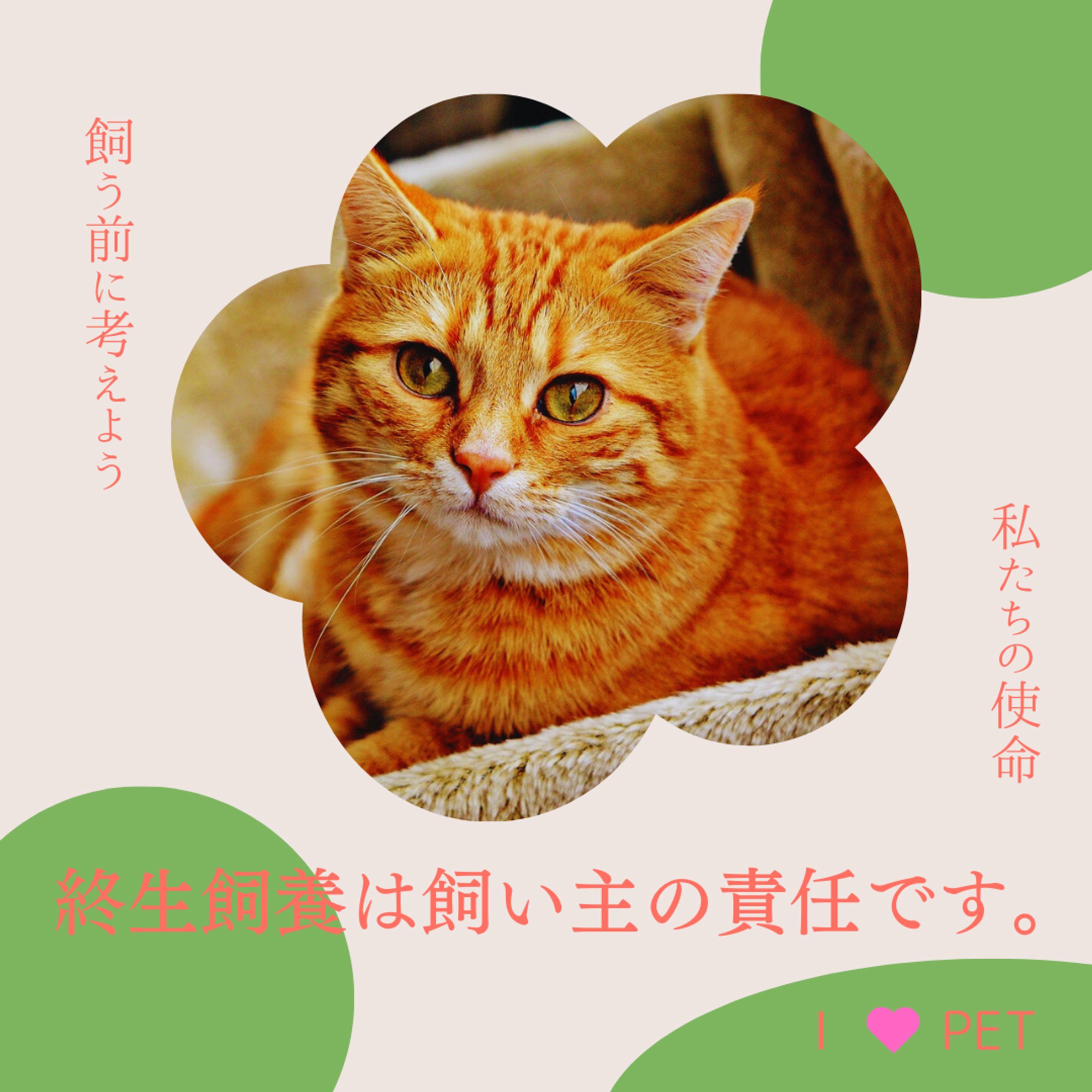 ペット系バナー-1