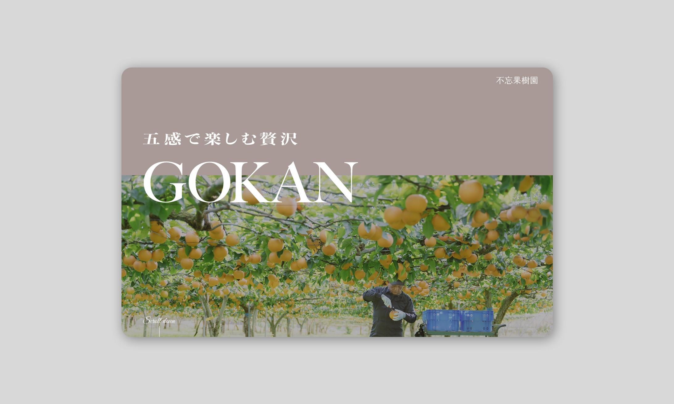 商品の品質とストーリーを体感できるブランドサイト-1