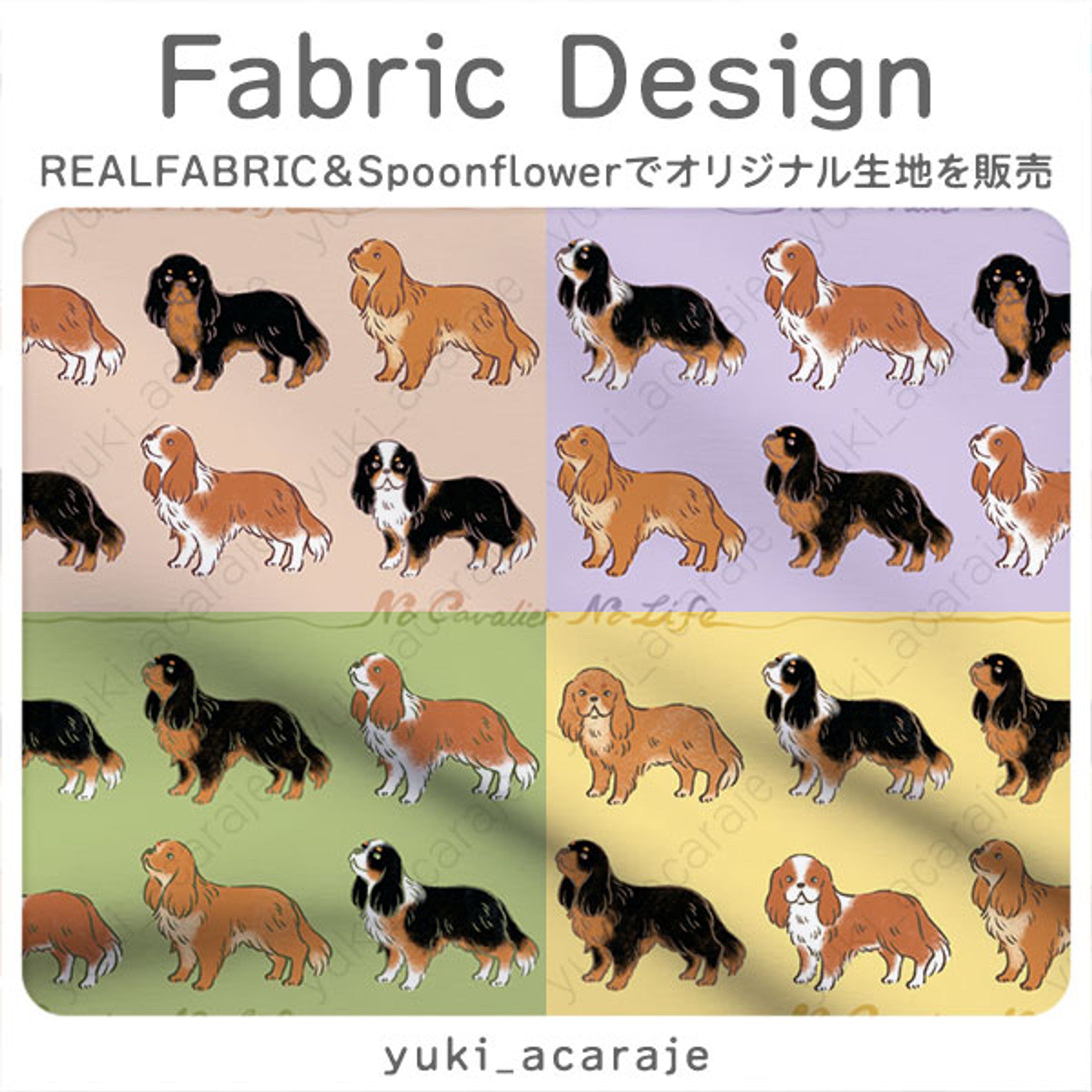 No Cavalier No Life-1