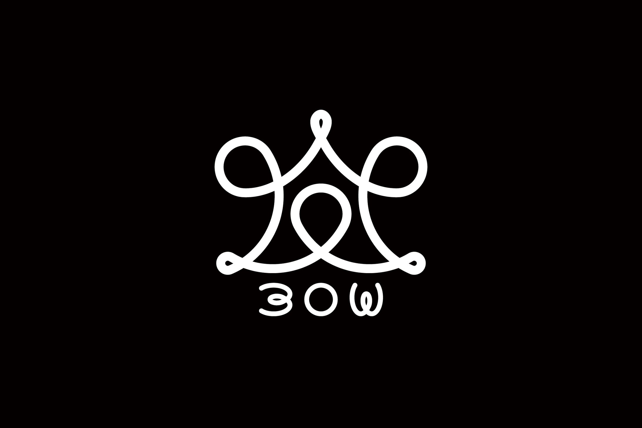 30W ロゴ-1