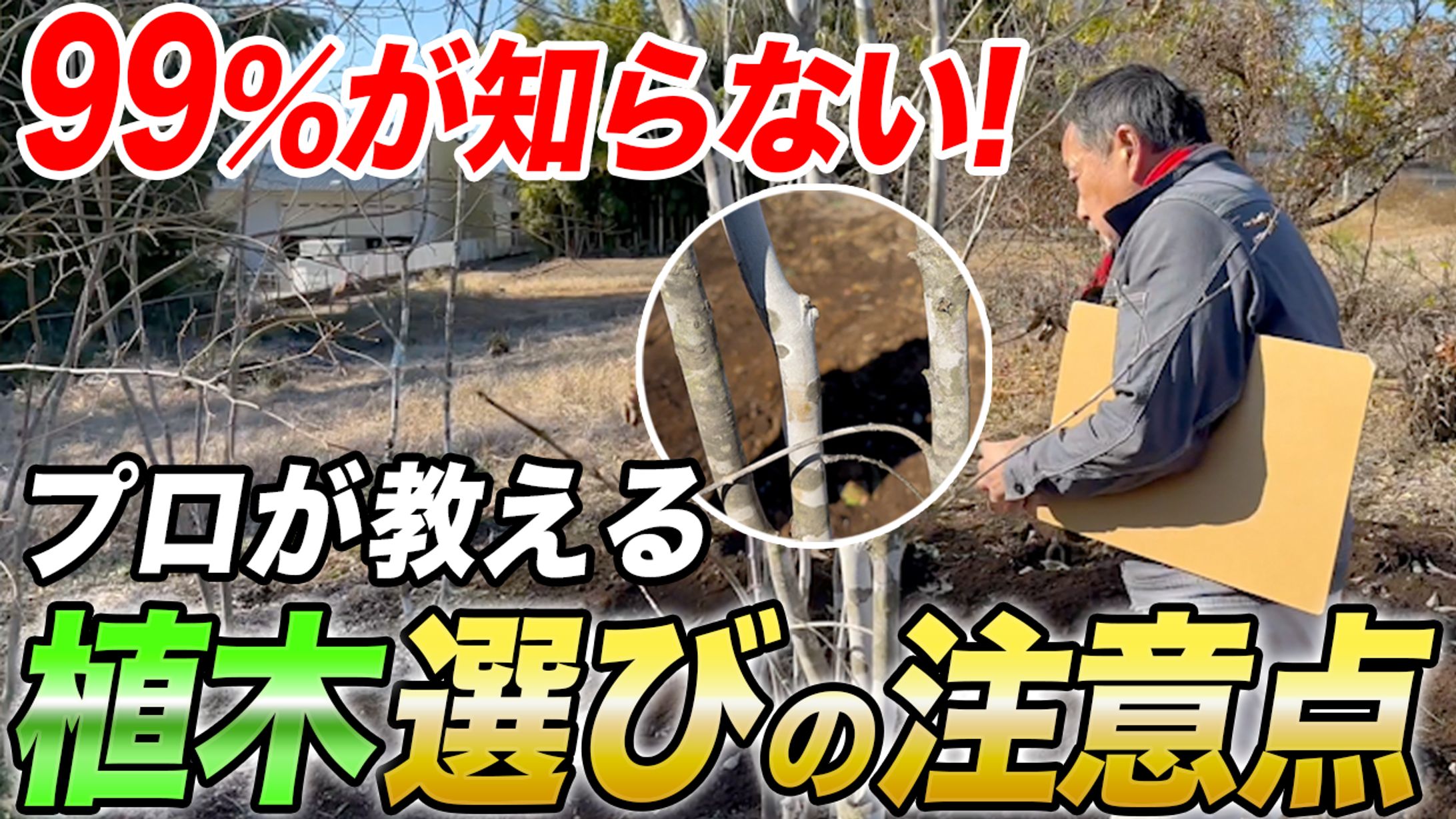 サムネイル PF-1