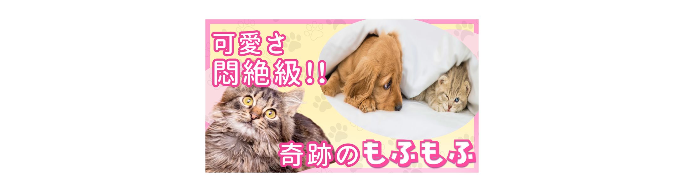 【サムネイル】動物癒し系-1