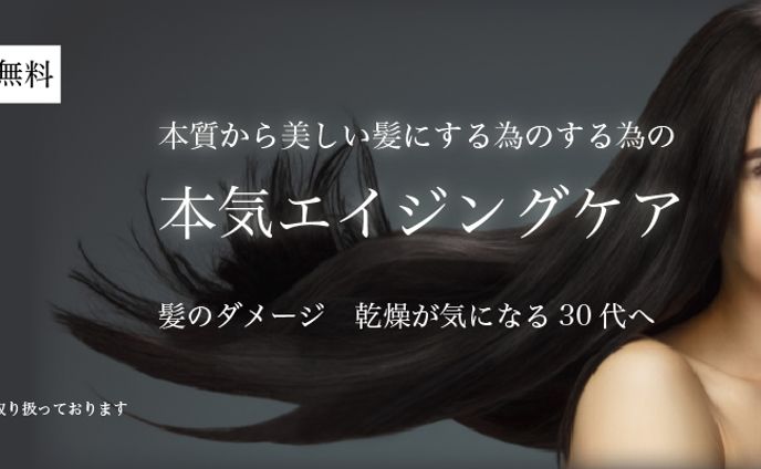 LP バナー