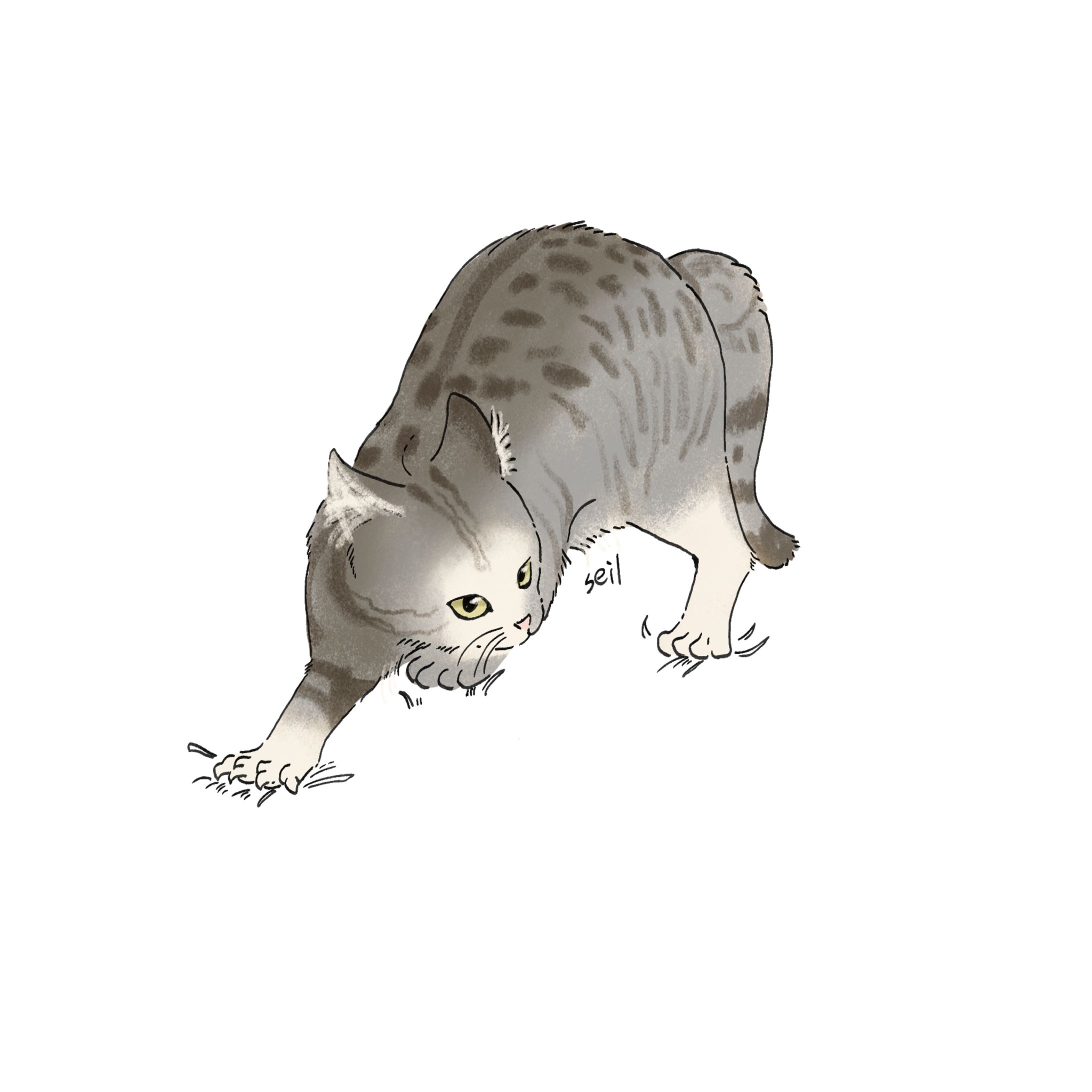 猫まとめ-1